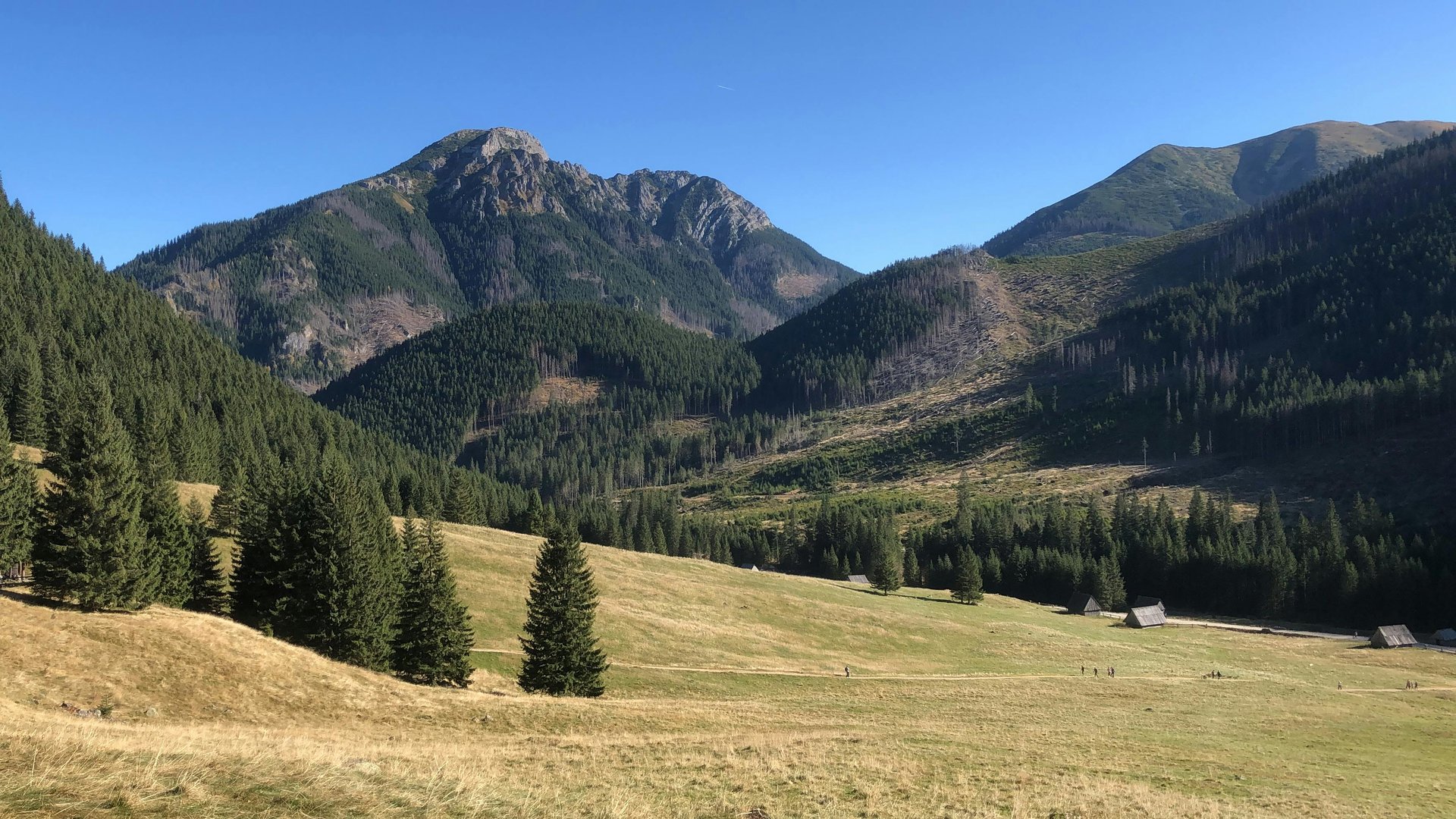 green and gray mountains near body of water during daytime