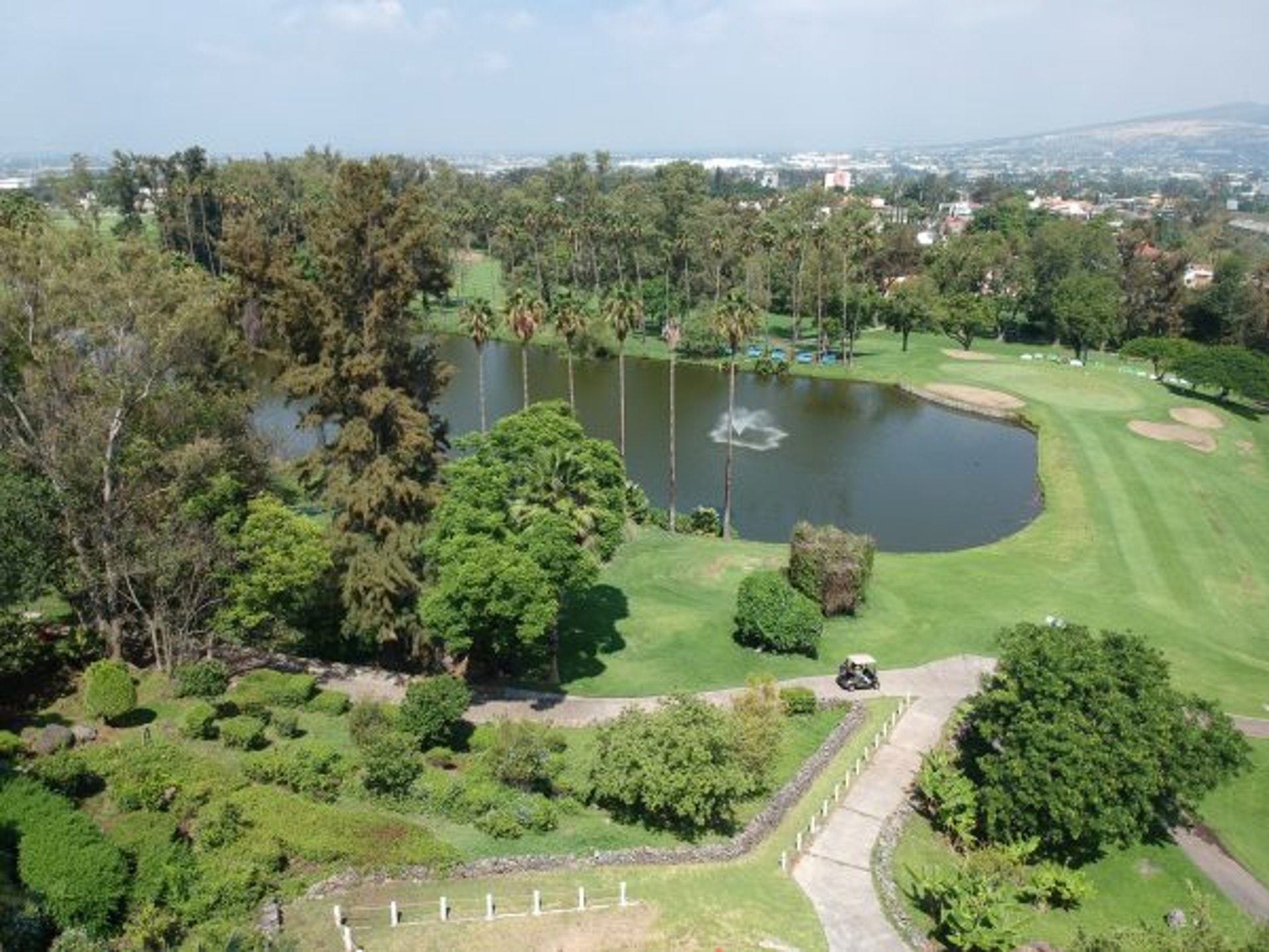 gray computer monitor