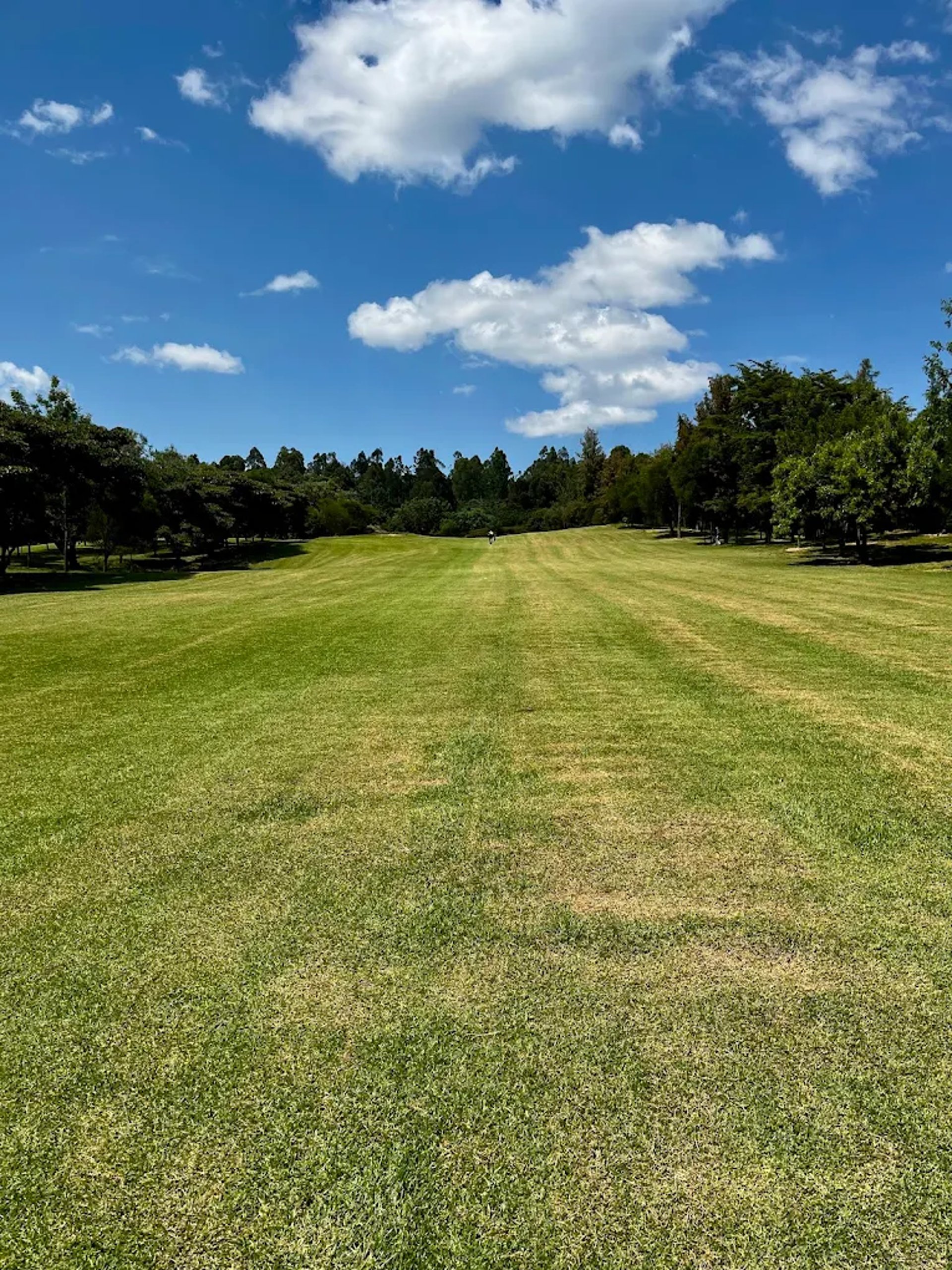 woman wearing yellow long-sleeved dress under white clouds and blue sky during daytime