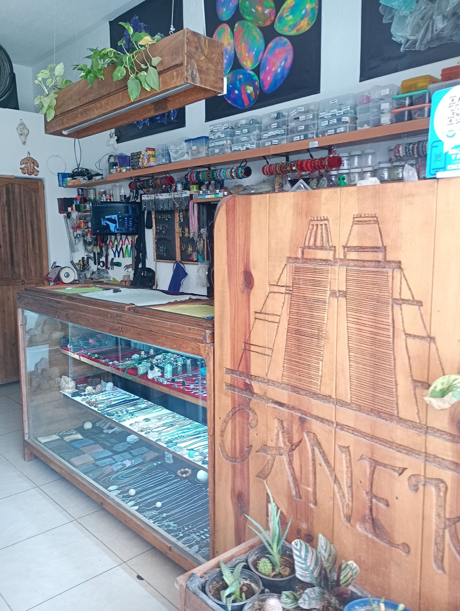 woman holding dried flower