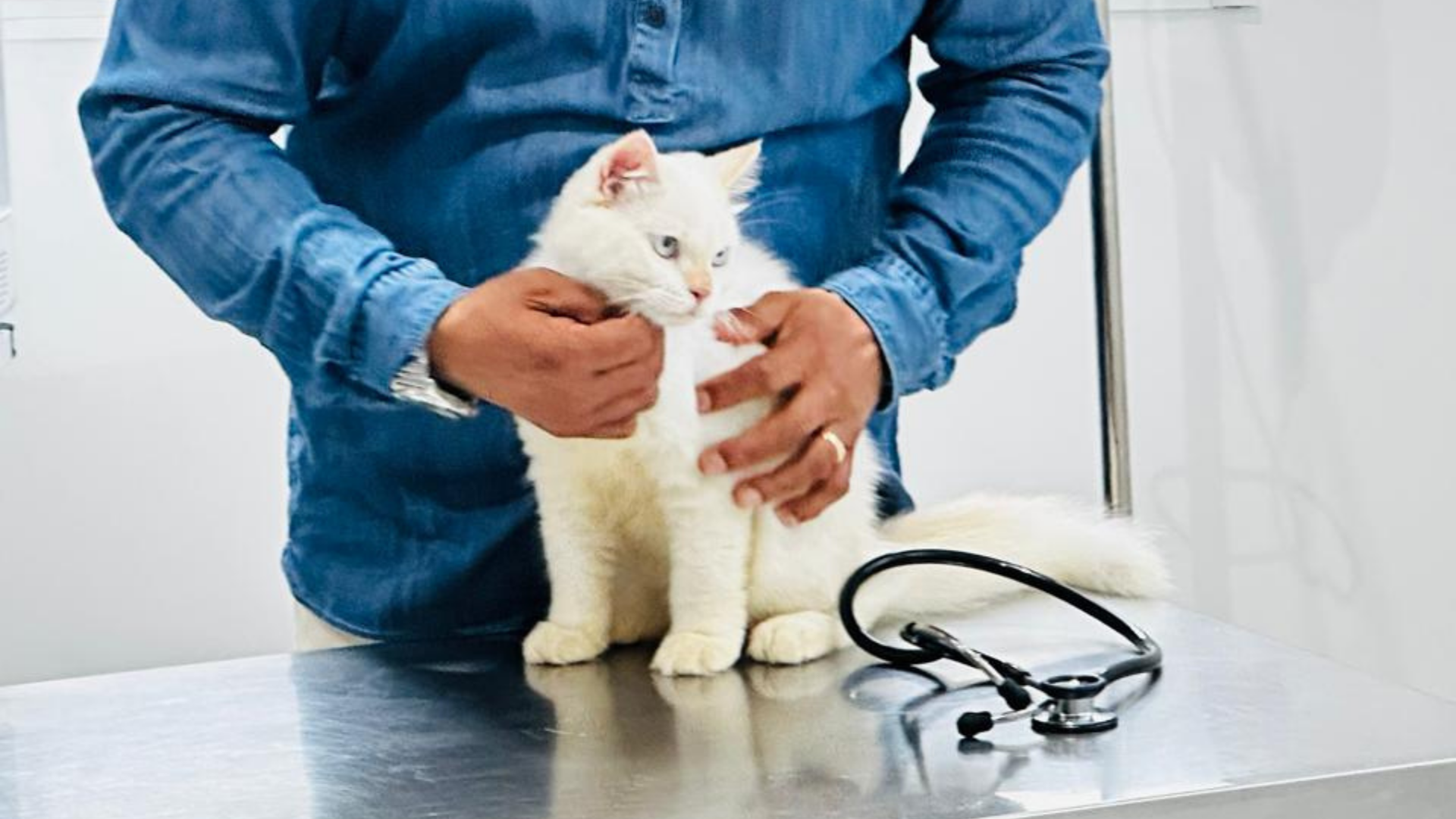 gray computer monitor