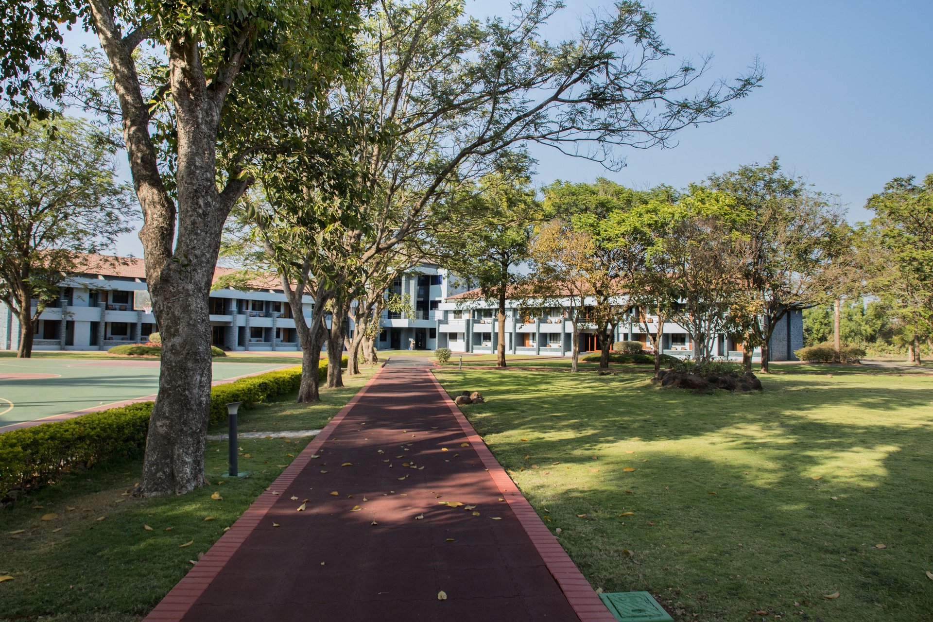 gray computer monitor