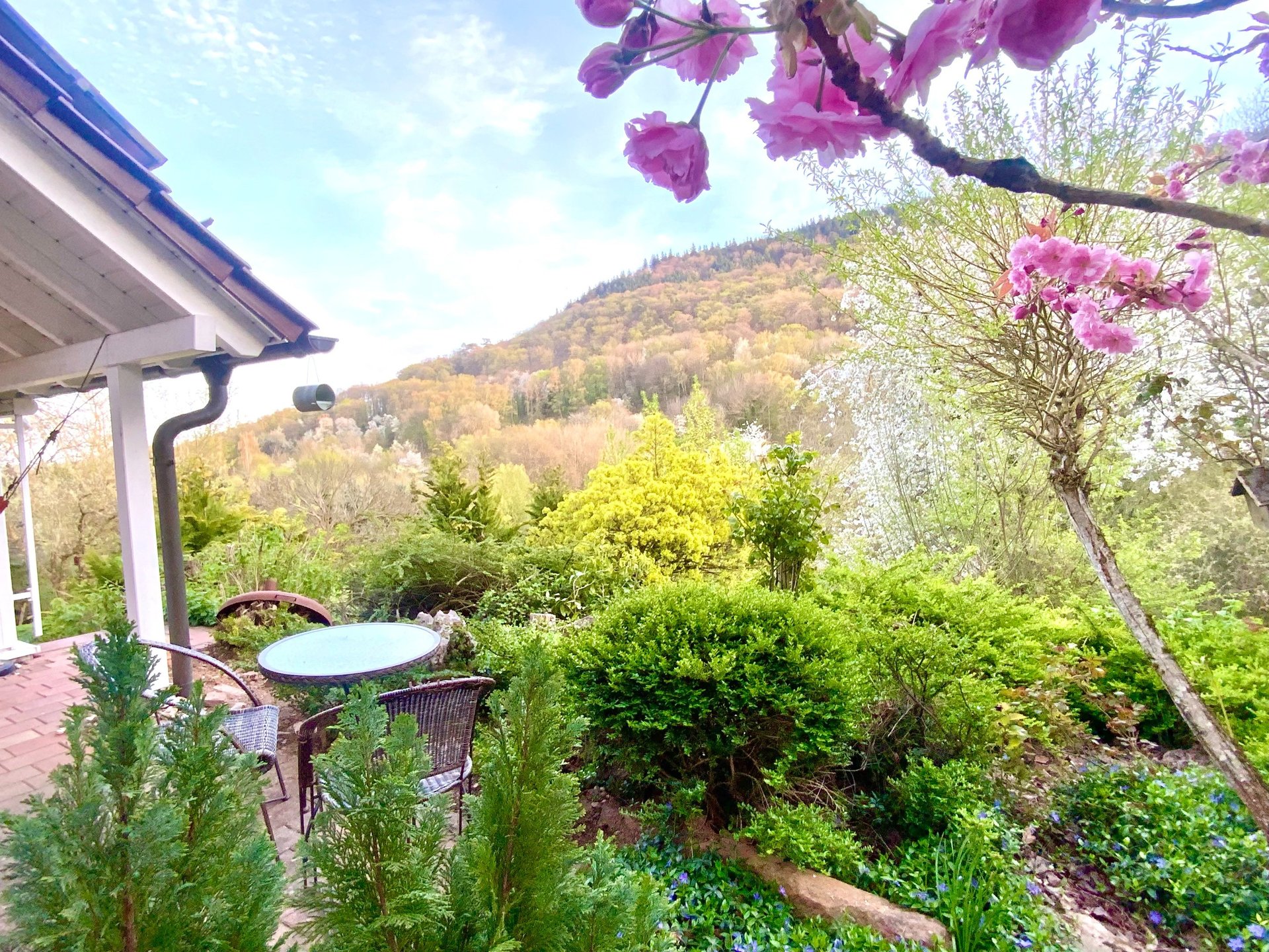 black blue and yellow textile