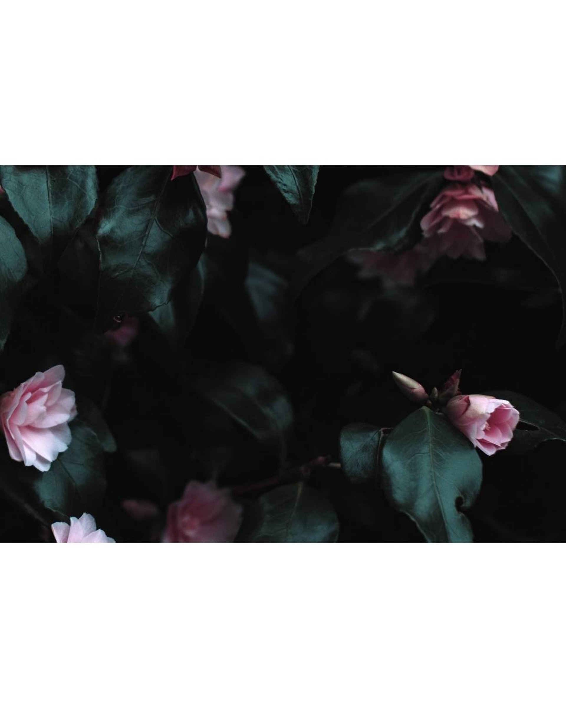 Iremia Counselling, warm and calm counselling space.