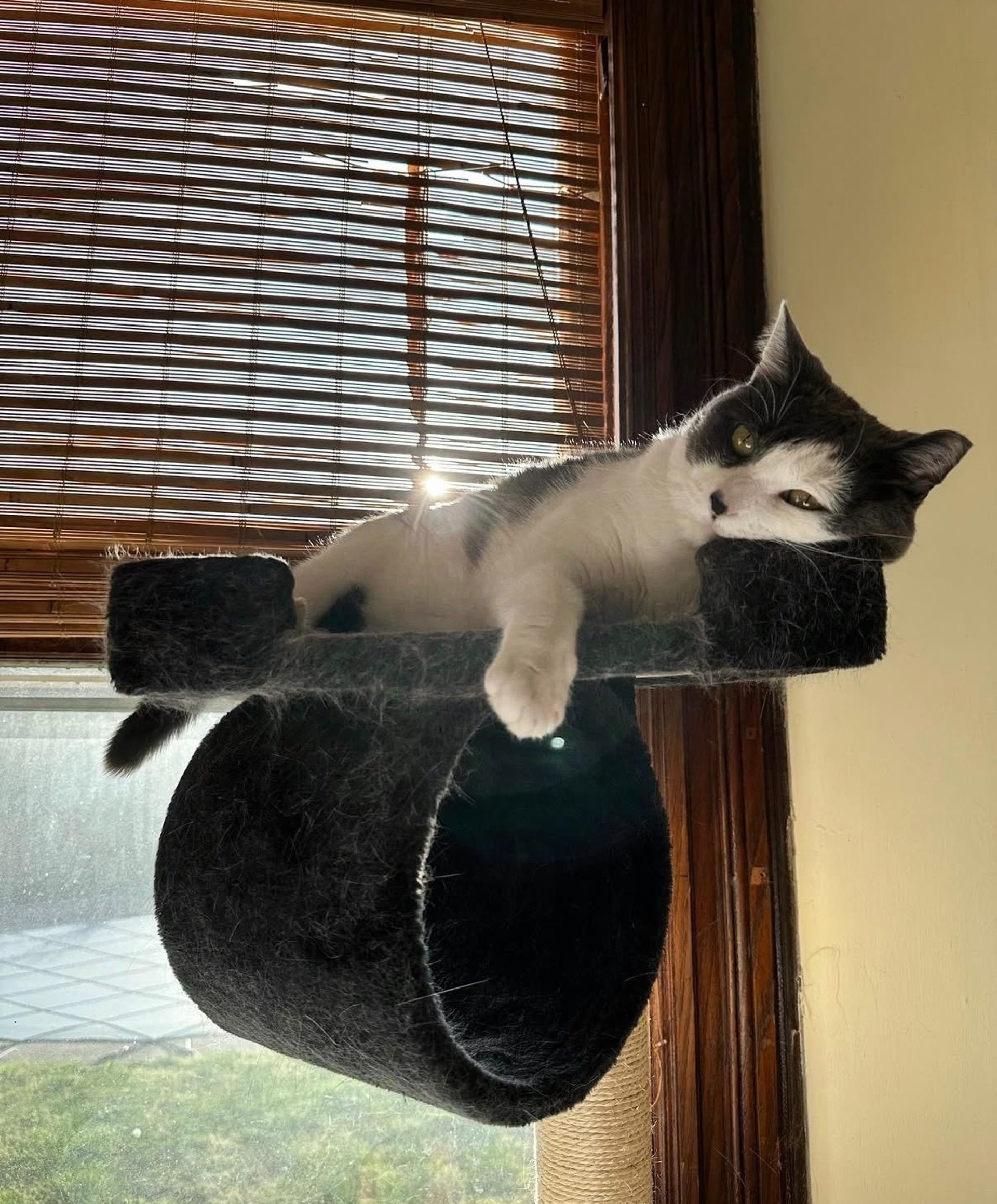 black and white bed linen