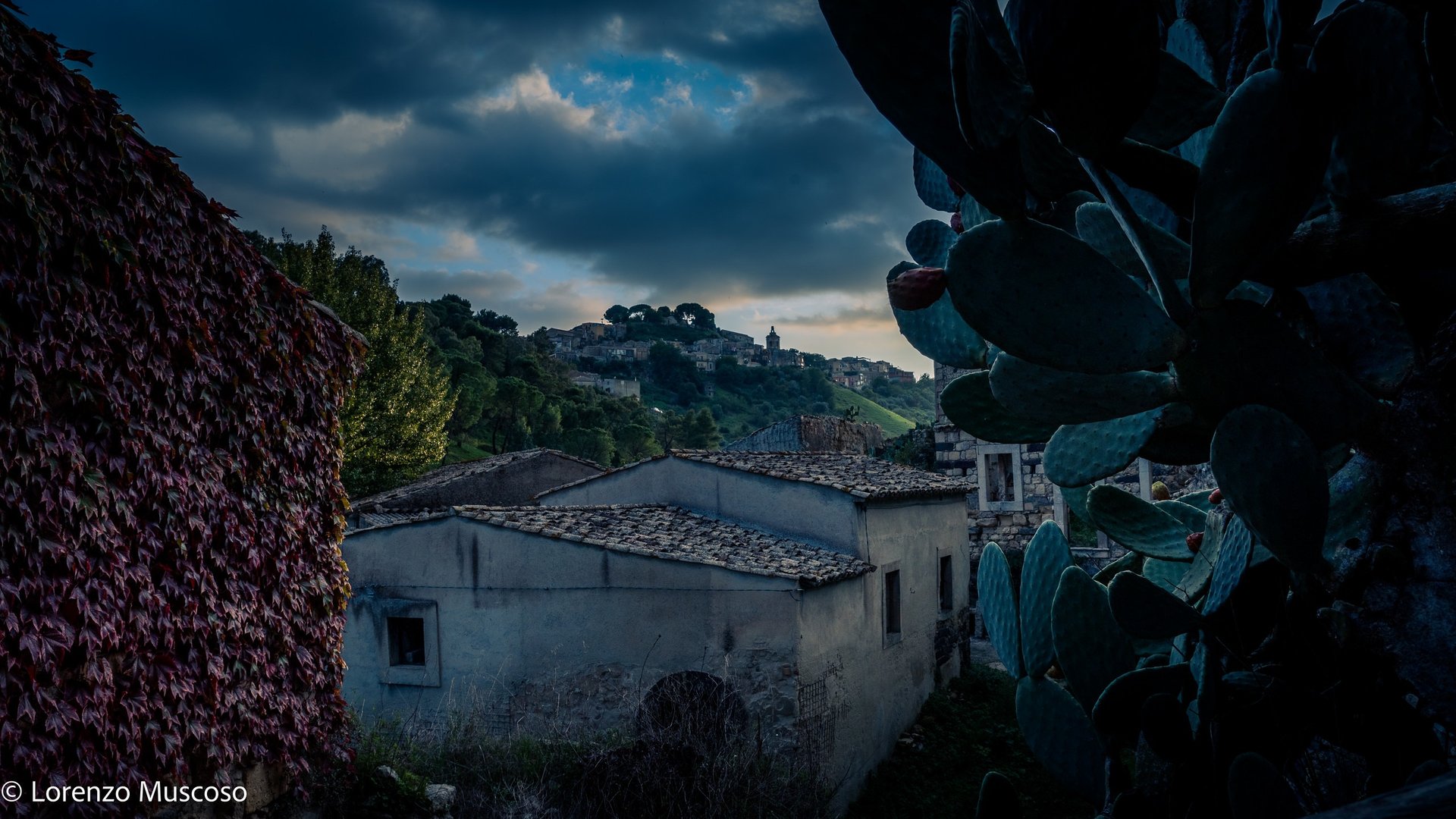 an abstract photo of a curved building with a blue sky in the background