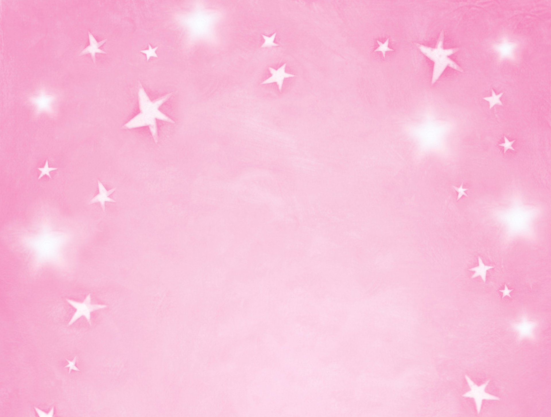 purple flower in macro shot