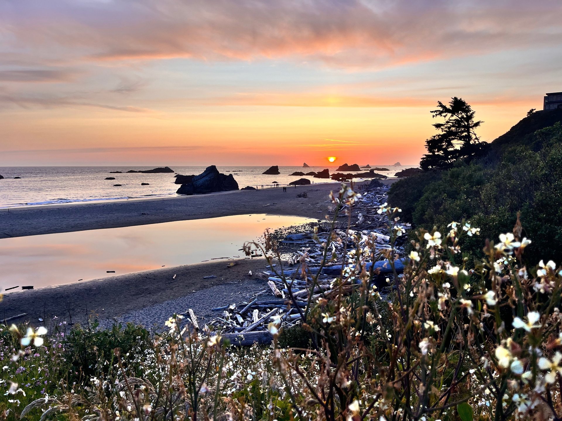 black and white bed linen