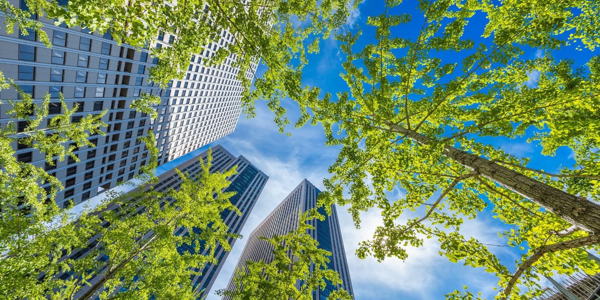 low angle photography of building