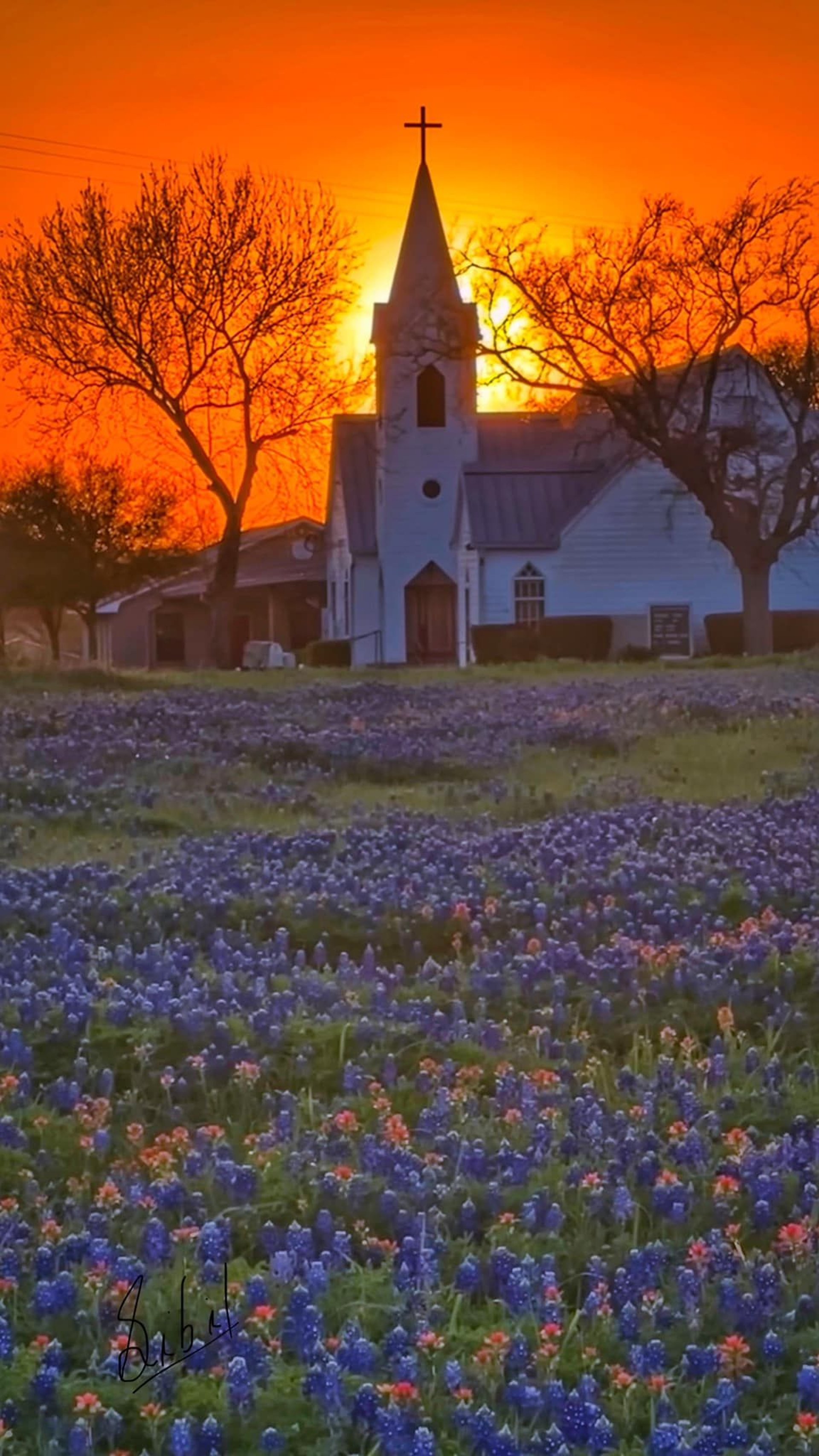 white and red concrete cathedral