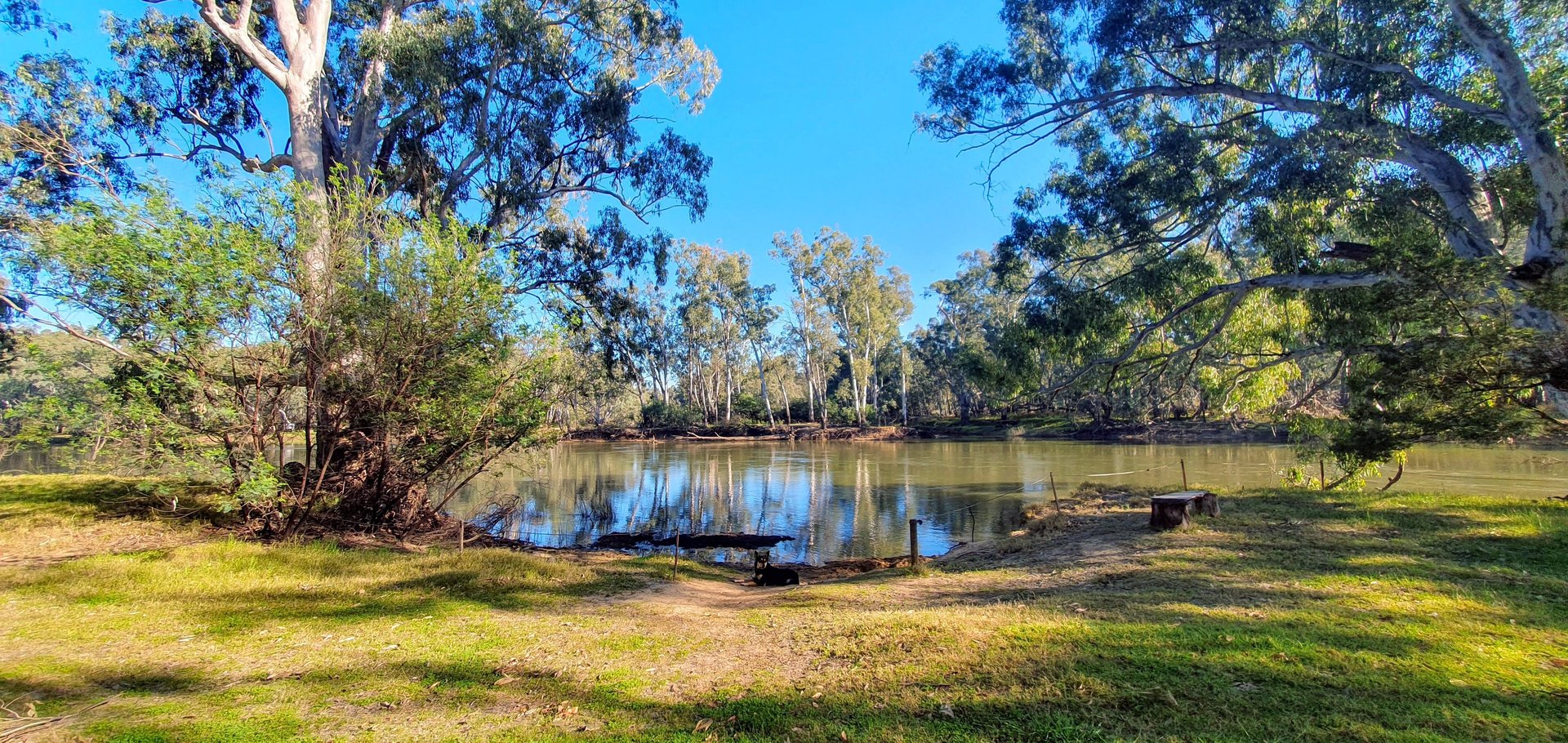 black blue and yellow textile