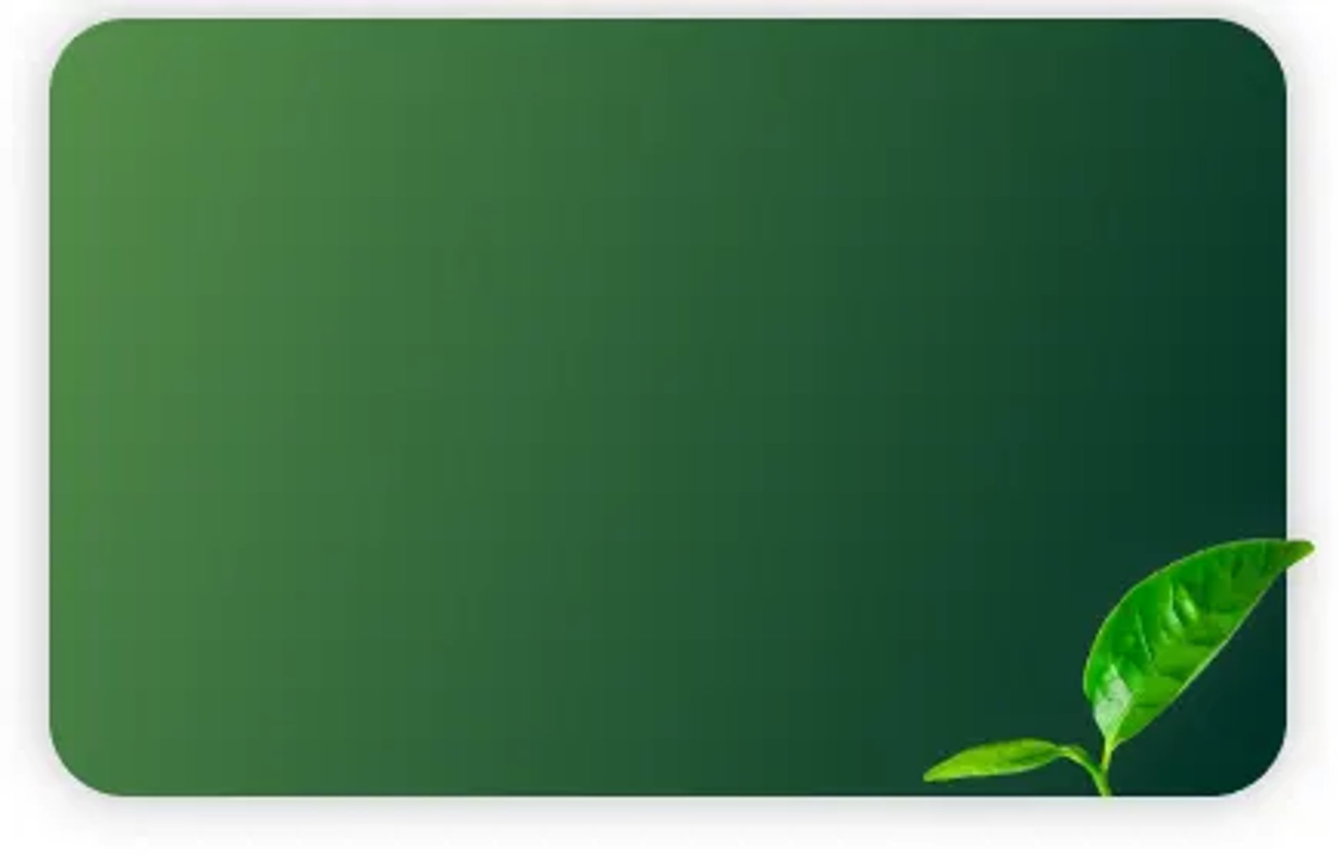 a close up of a leaf