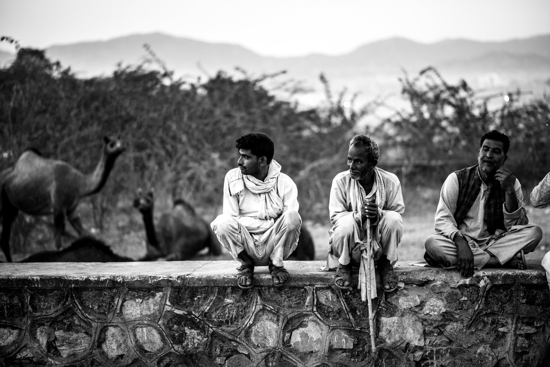 black and white bed linen