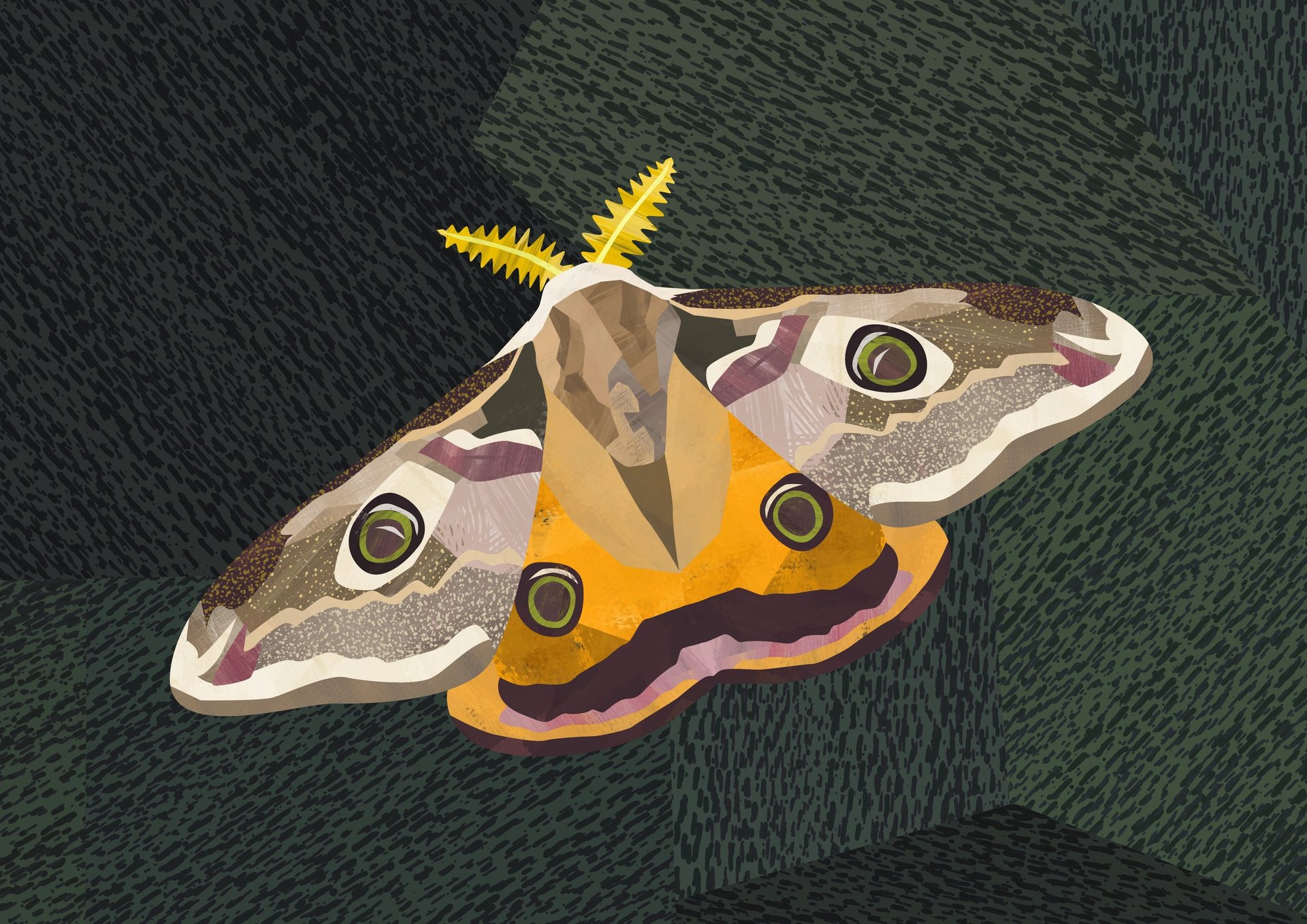 an abstract photo of a curved building with a blue sky in the background