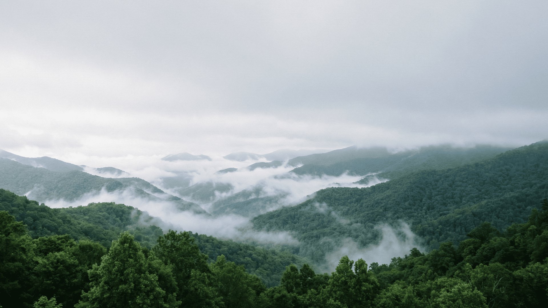 black and brown leather padded tub sofa