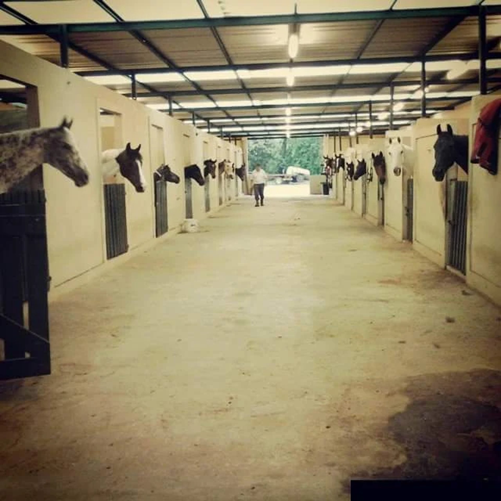 an abstract photo of a curved building with a blue sky in the background