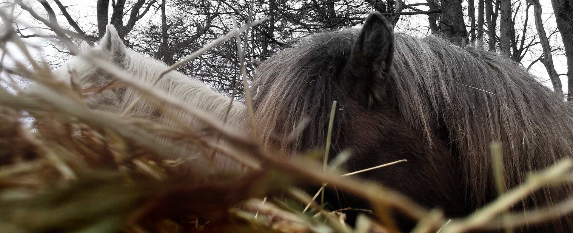 black and white bed linen