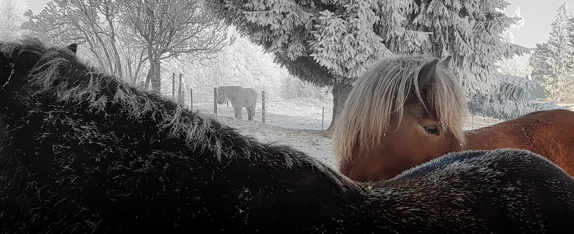 black and white bed linen