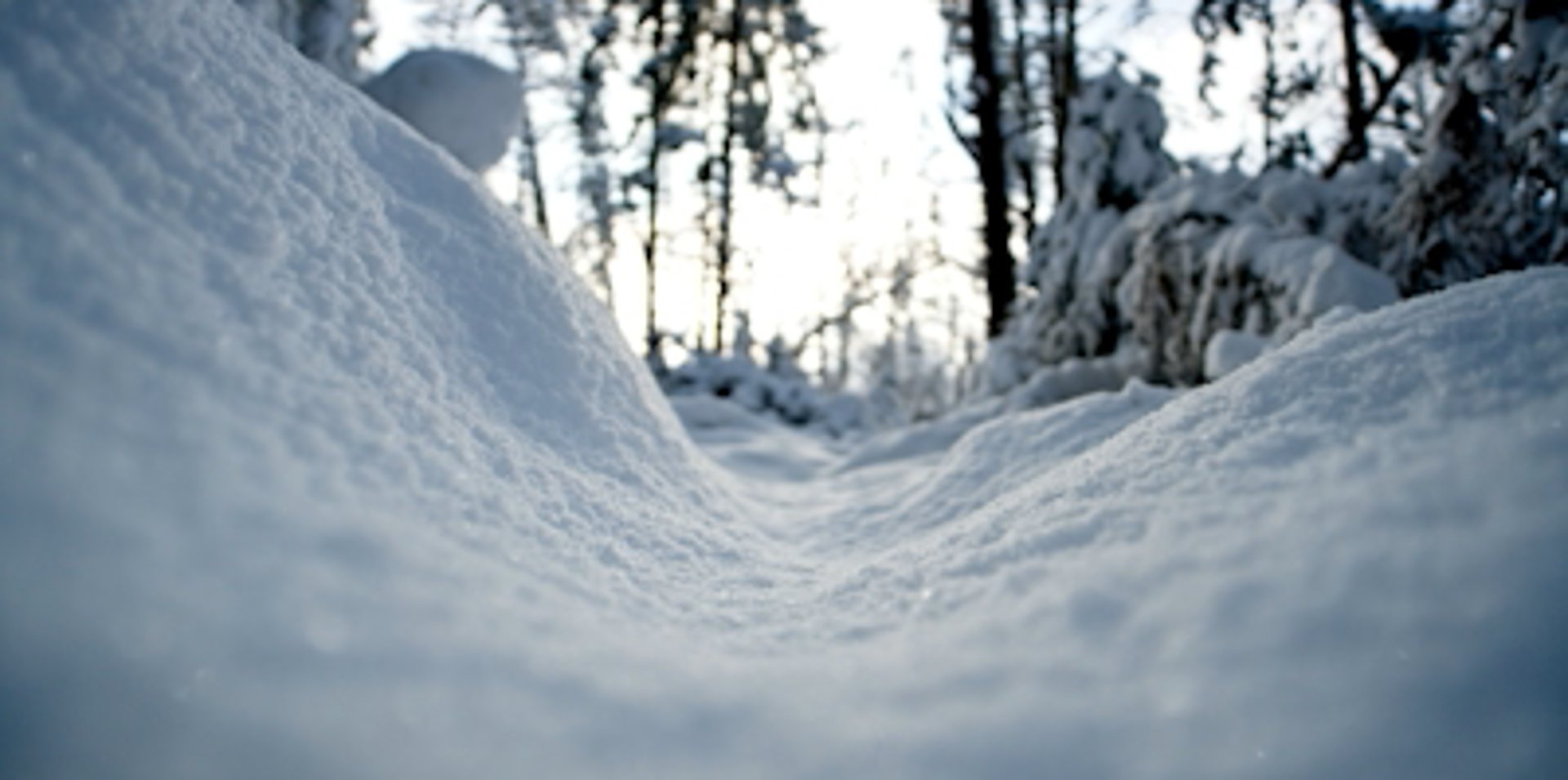 snow covered car during daytime