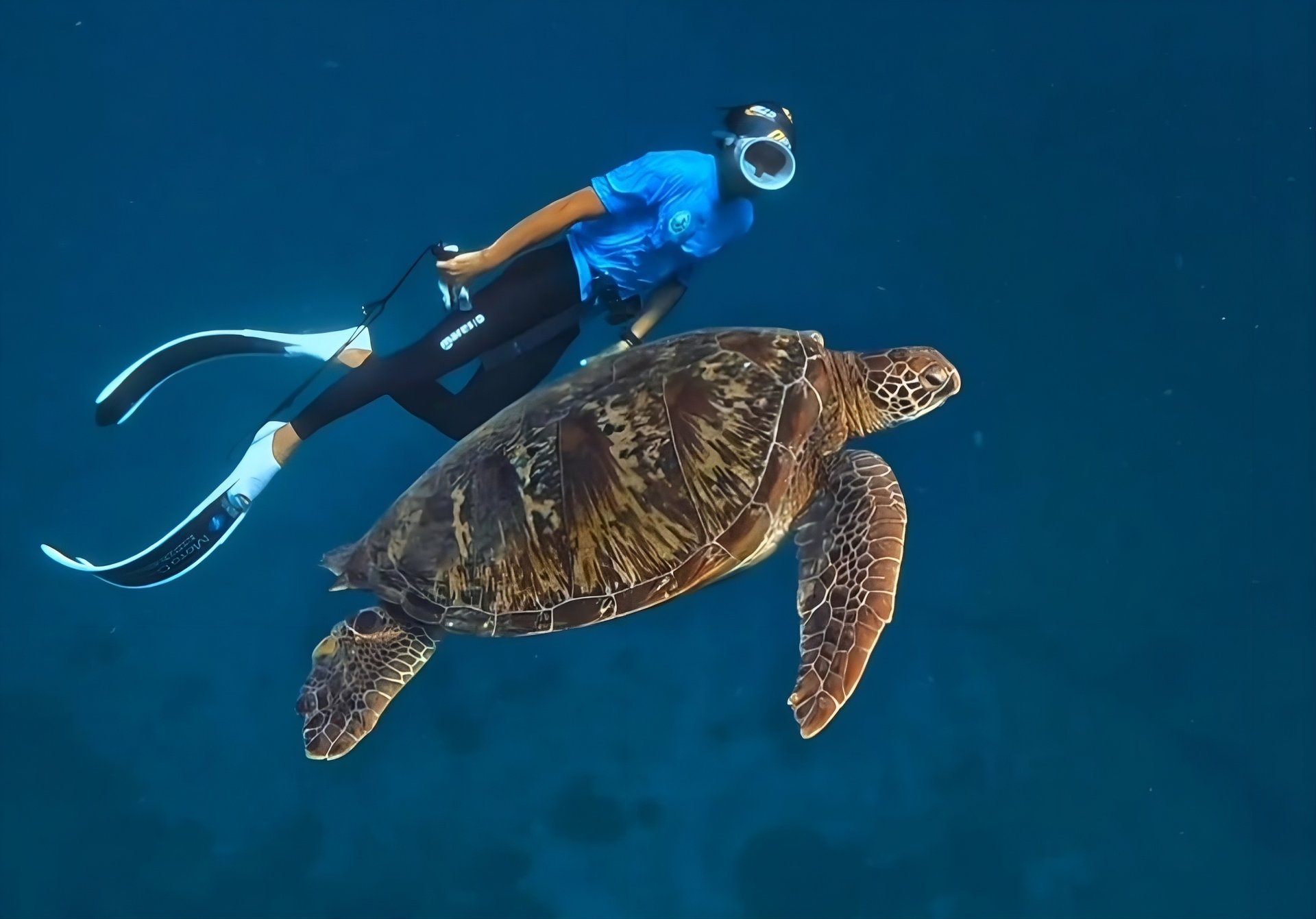 black blue and yellow textile