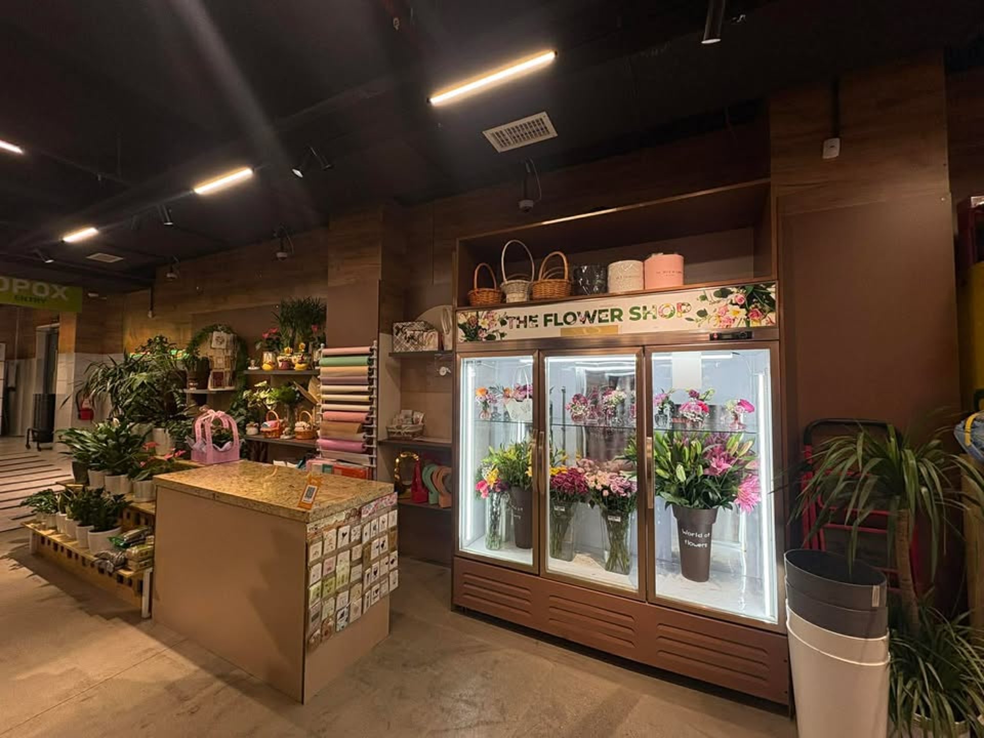 a close up of a bunch of red roses