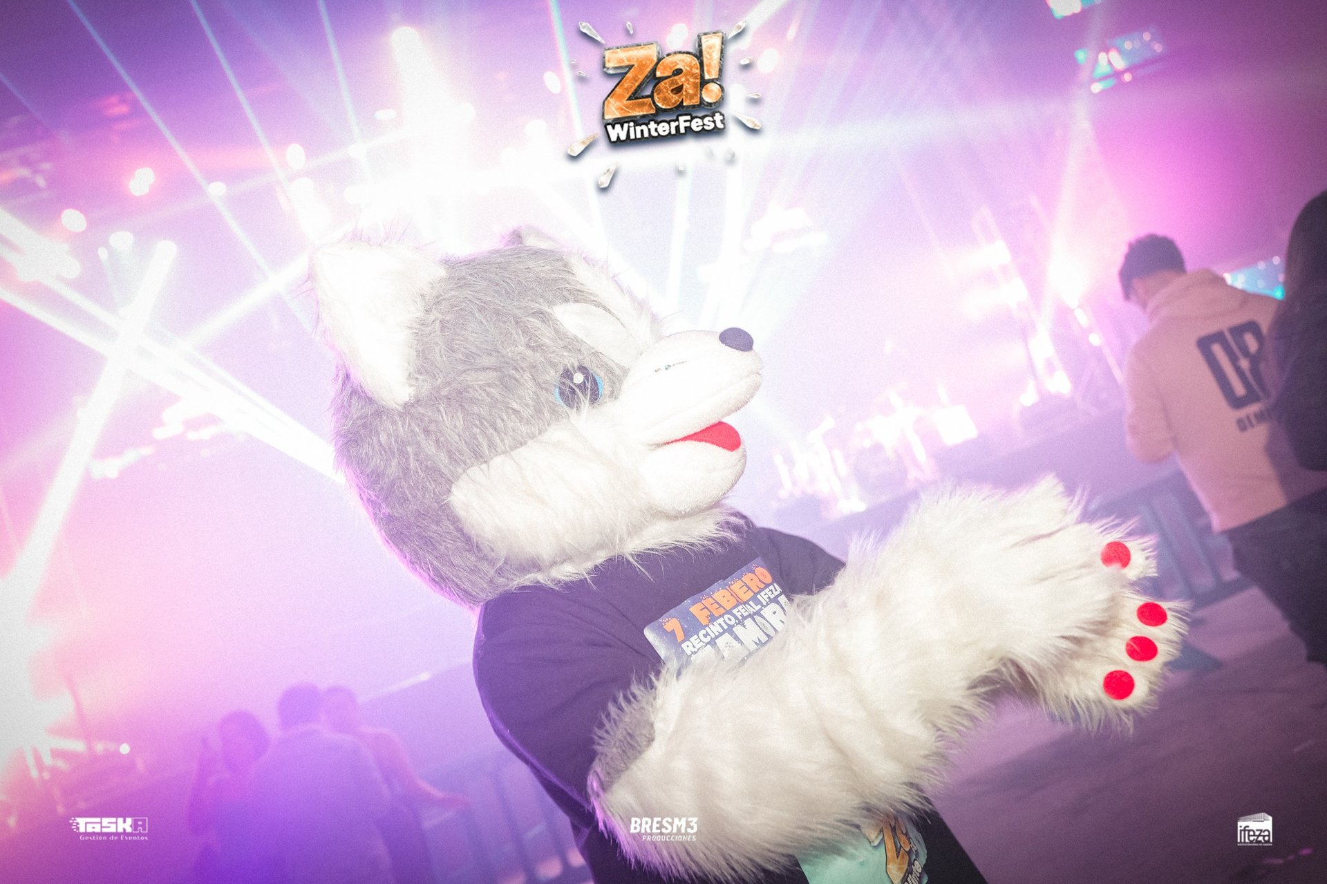 gray computer monitor