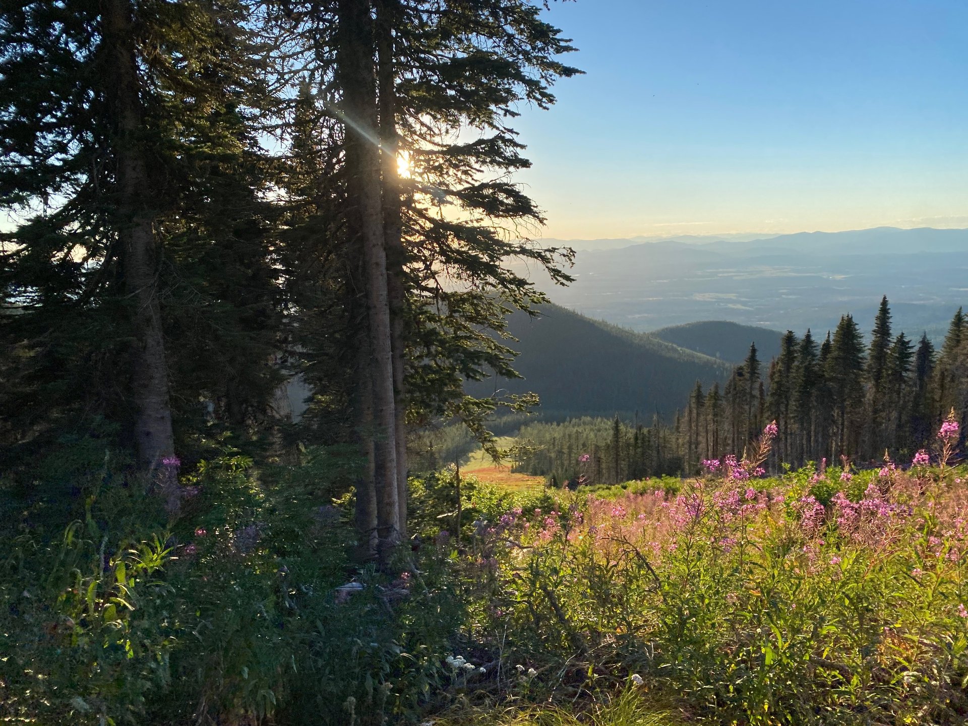 ceramic utensils lot close-up photography