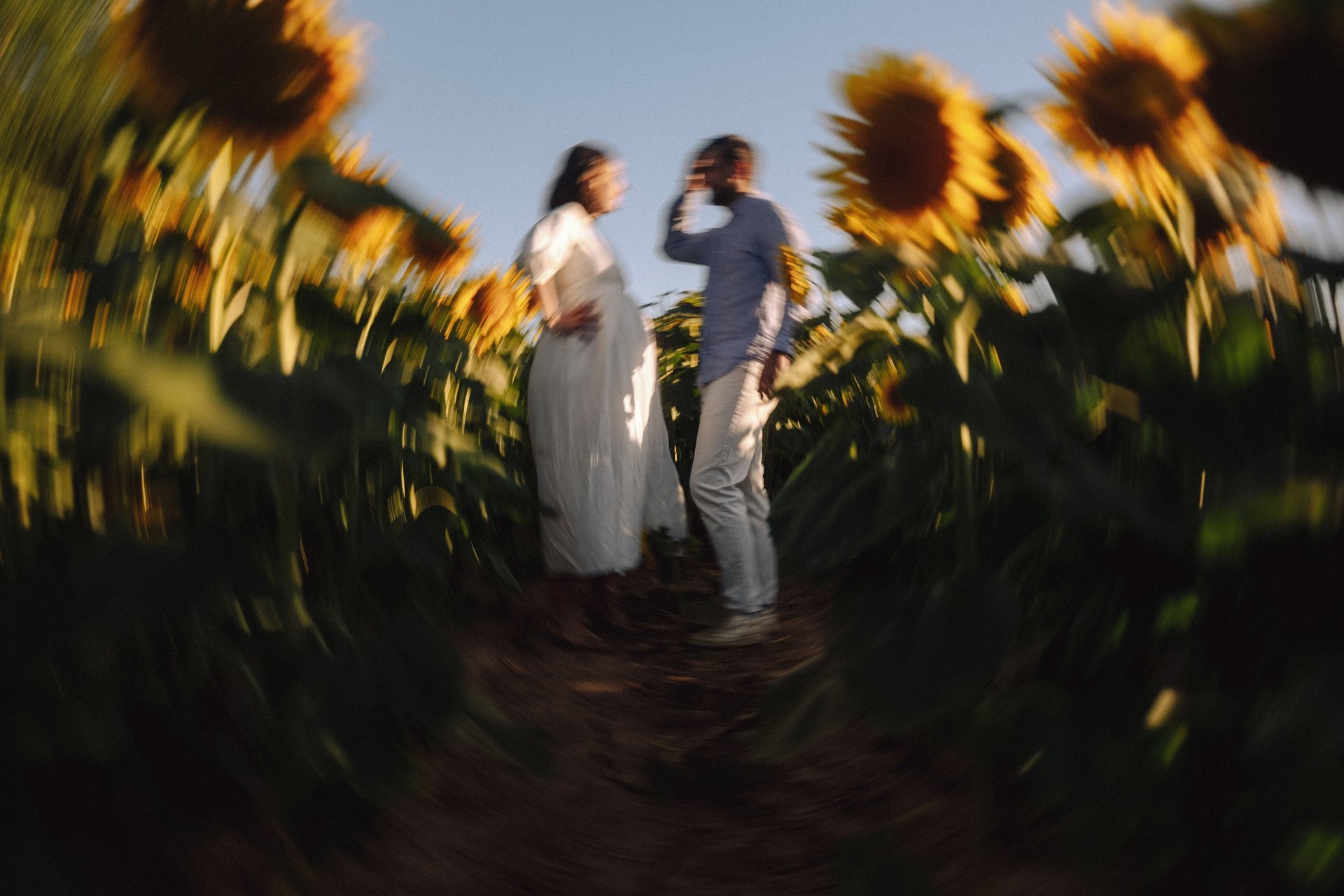 an abstract photo of a curved building with a blue sky in the background