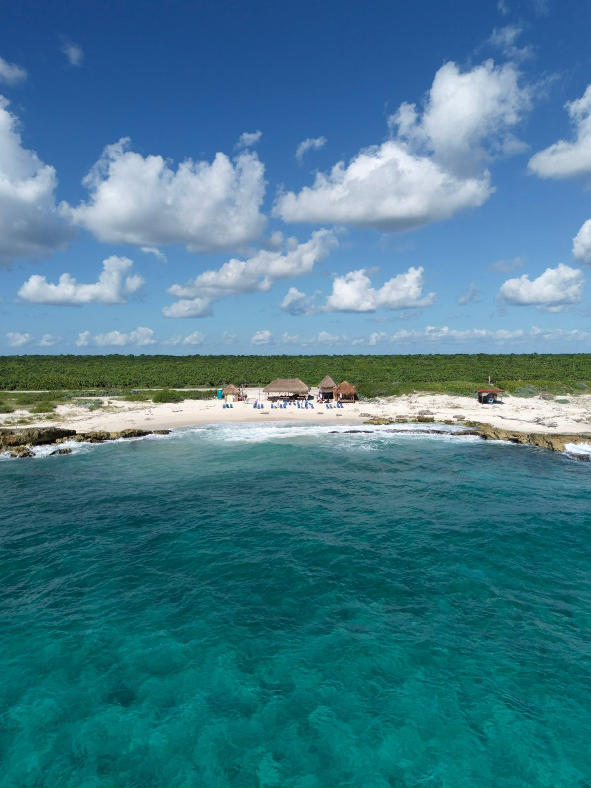 a body of water surrounded by trees and rocks