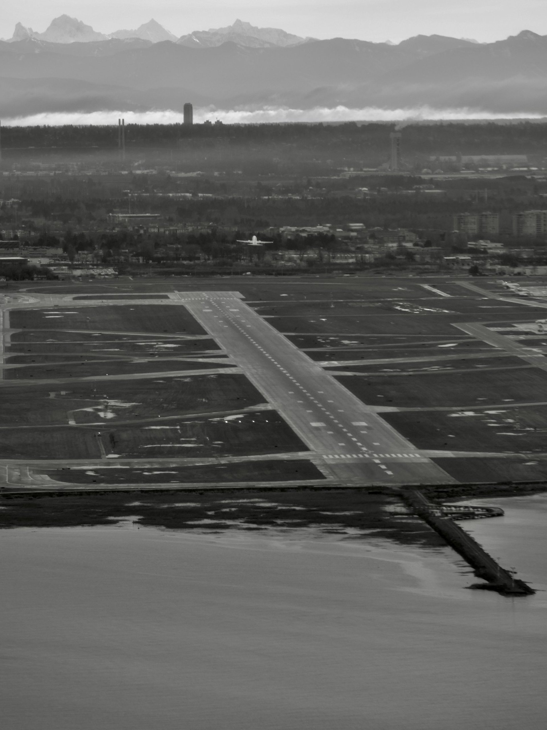 black and white bed linen