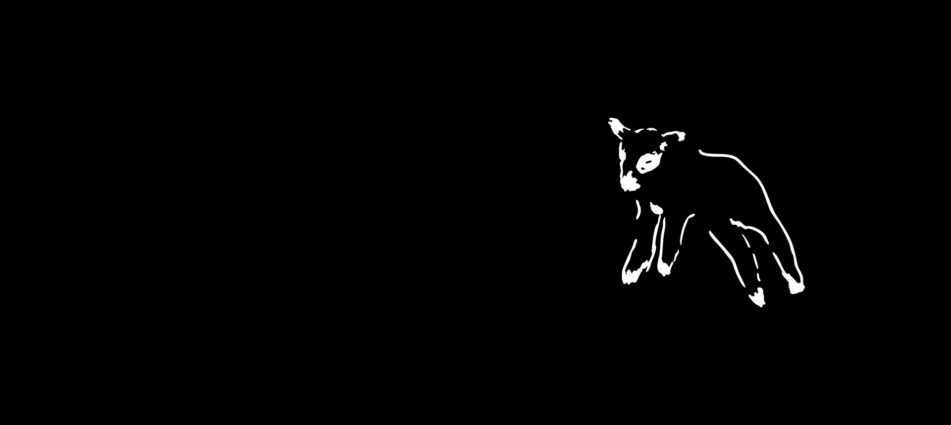 black and white bed linen