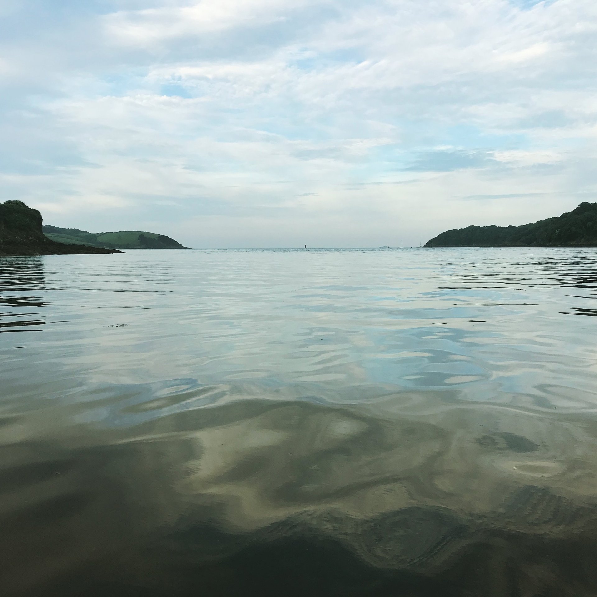 a beach with grass and rocks