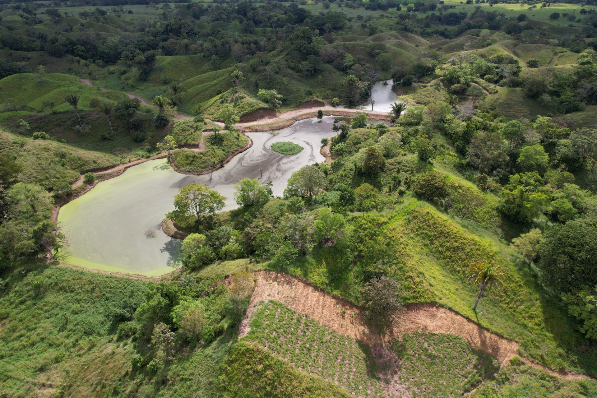 black blue and yellow textile