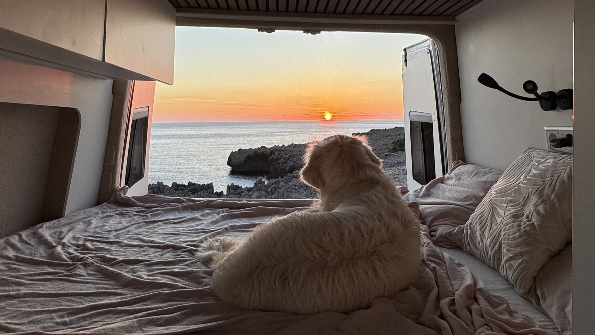 black and white bed linen