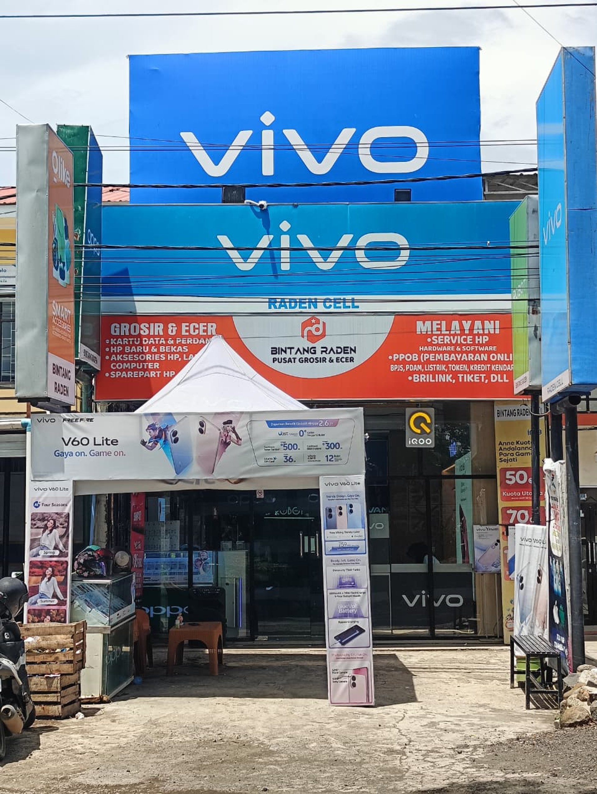 woman holding dried flower