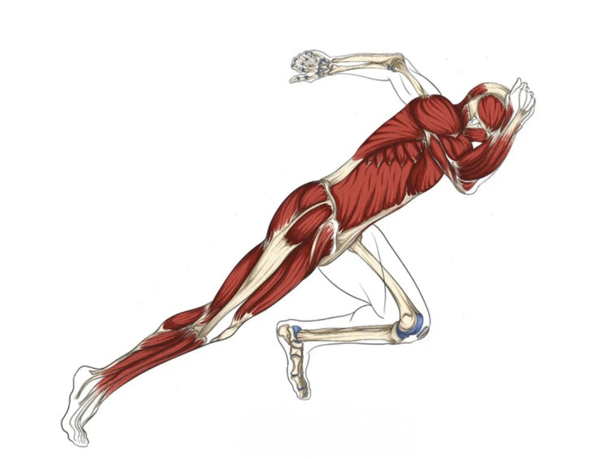 black and brown leather padded tub sofa