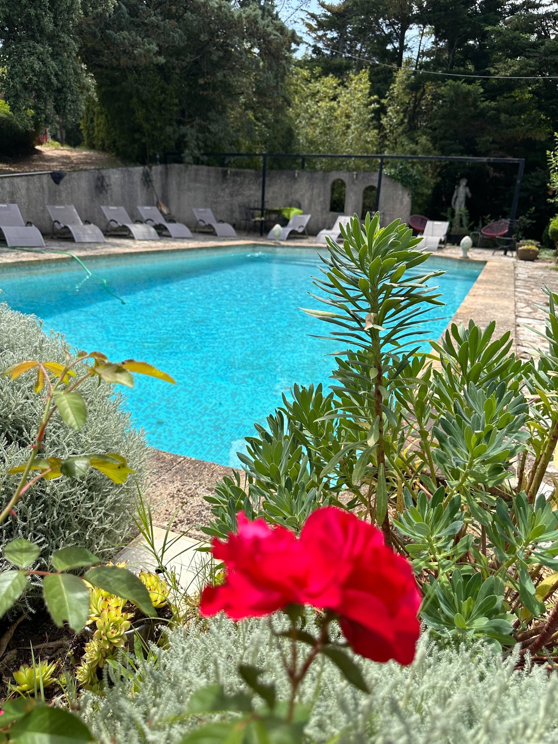 gray computer monitor