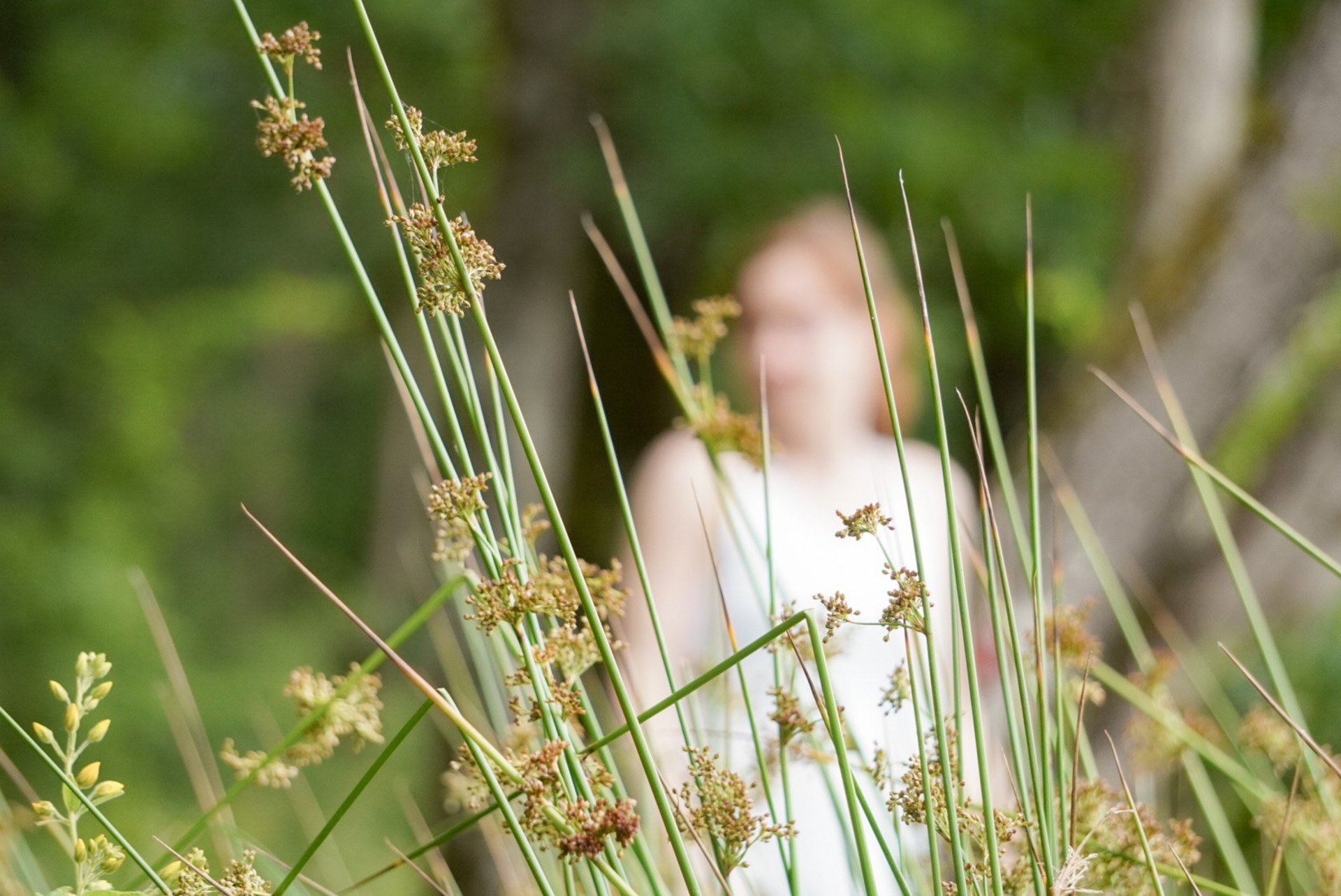 person holding notepad and pen flat lay photography