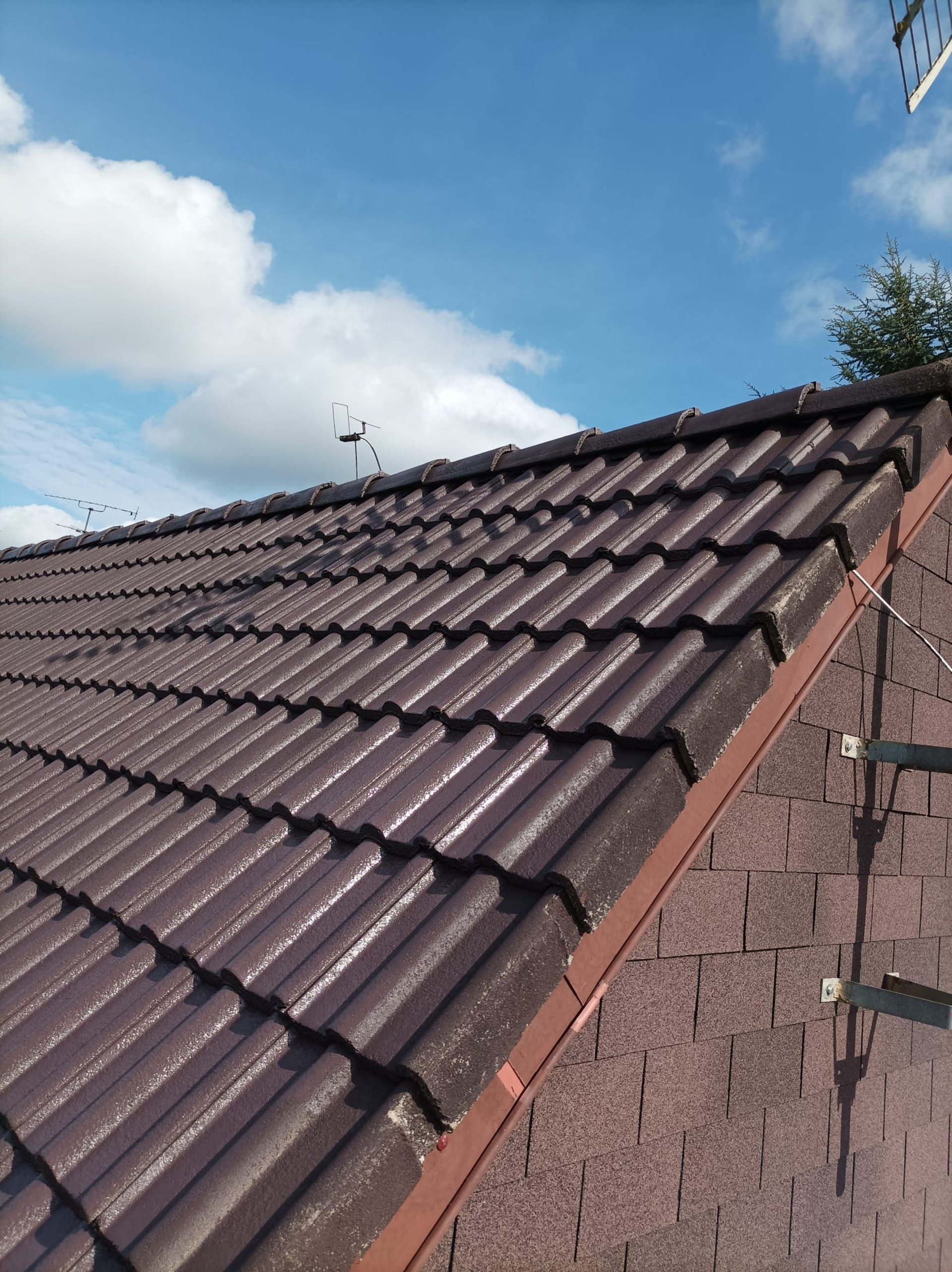 woman wearing yellow long-sleeved dress under white clouds and blue sky during daytime