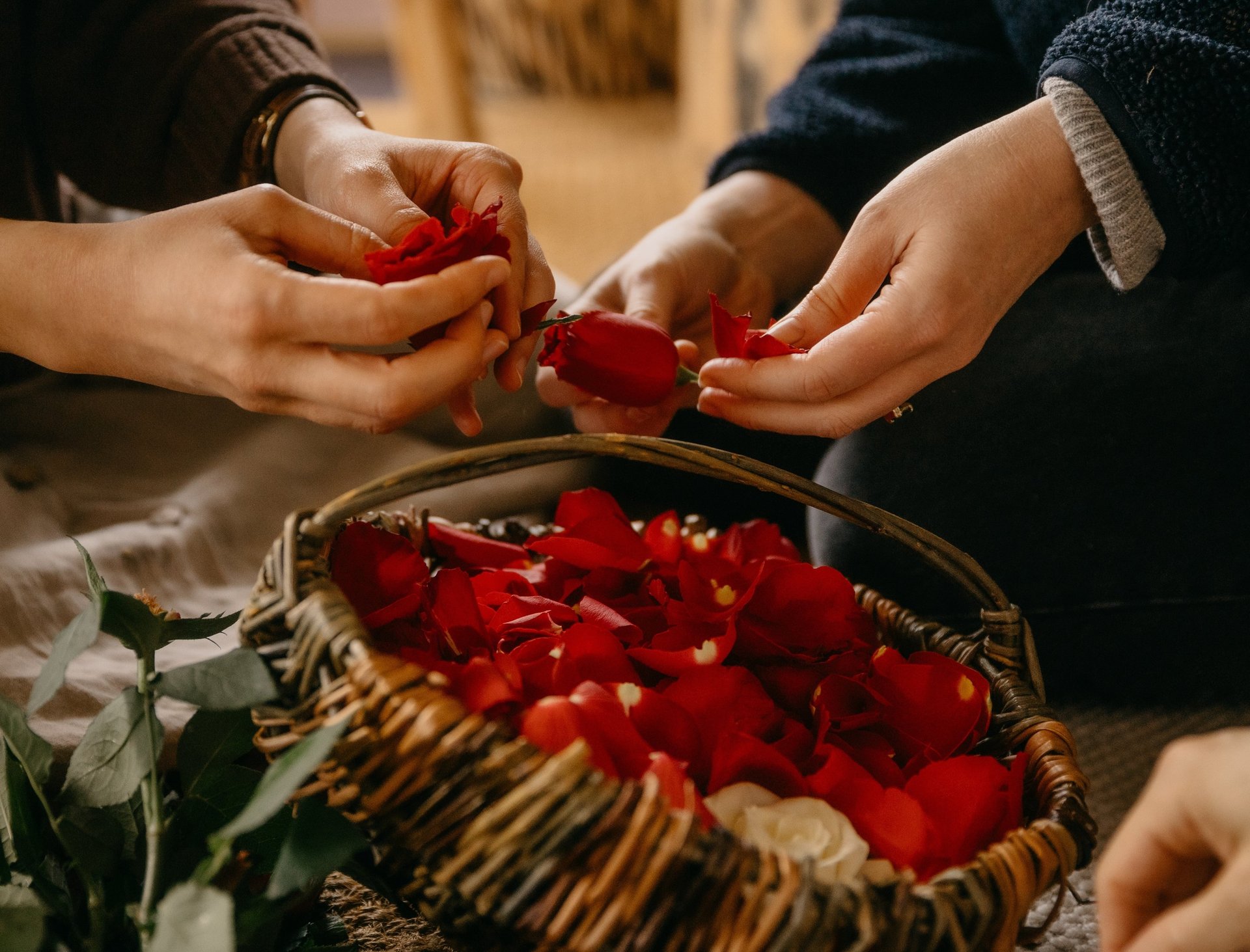an abstract photo of a curved building with a blue sky in the background