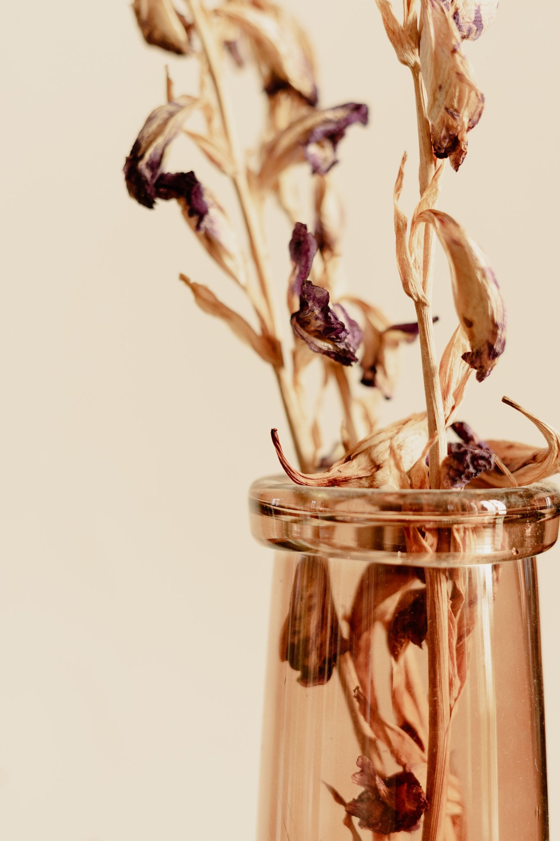 an abstract photo of a curved building with a blue sky in the background