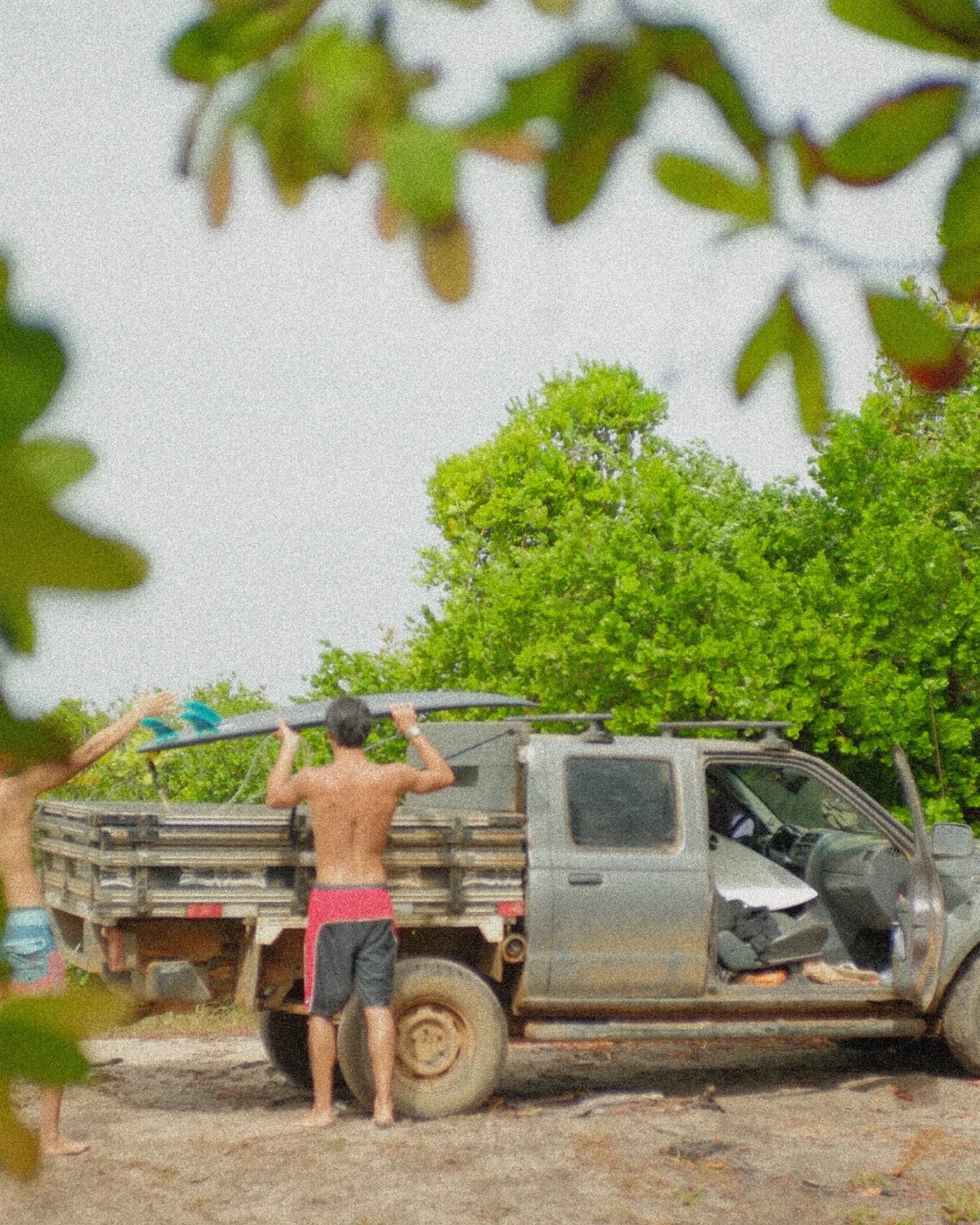 woman holding dried flower