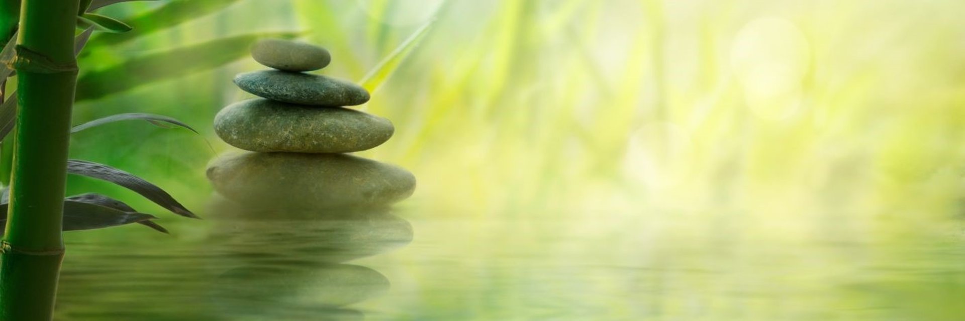 white and blue passenger airplane above green field under white sky