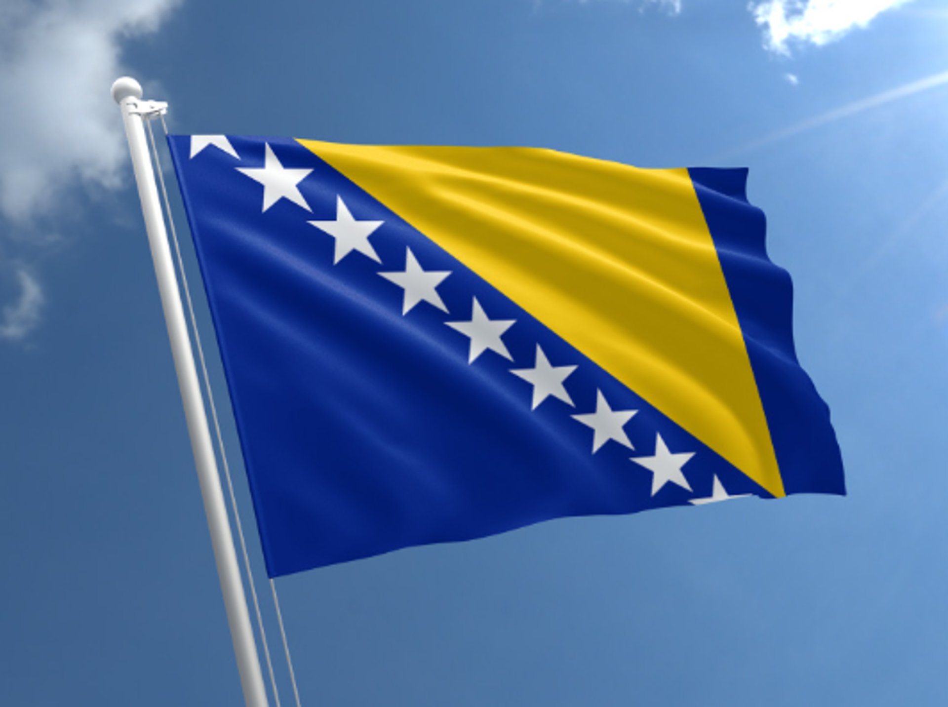 a flag on a pole