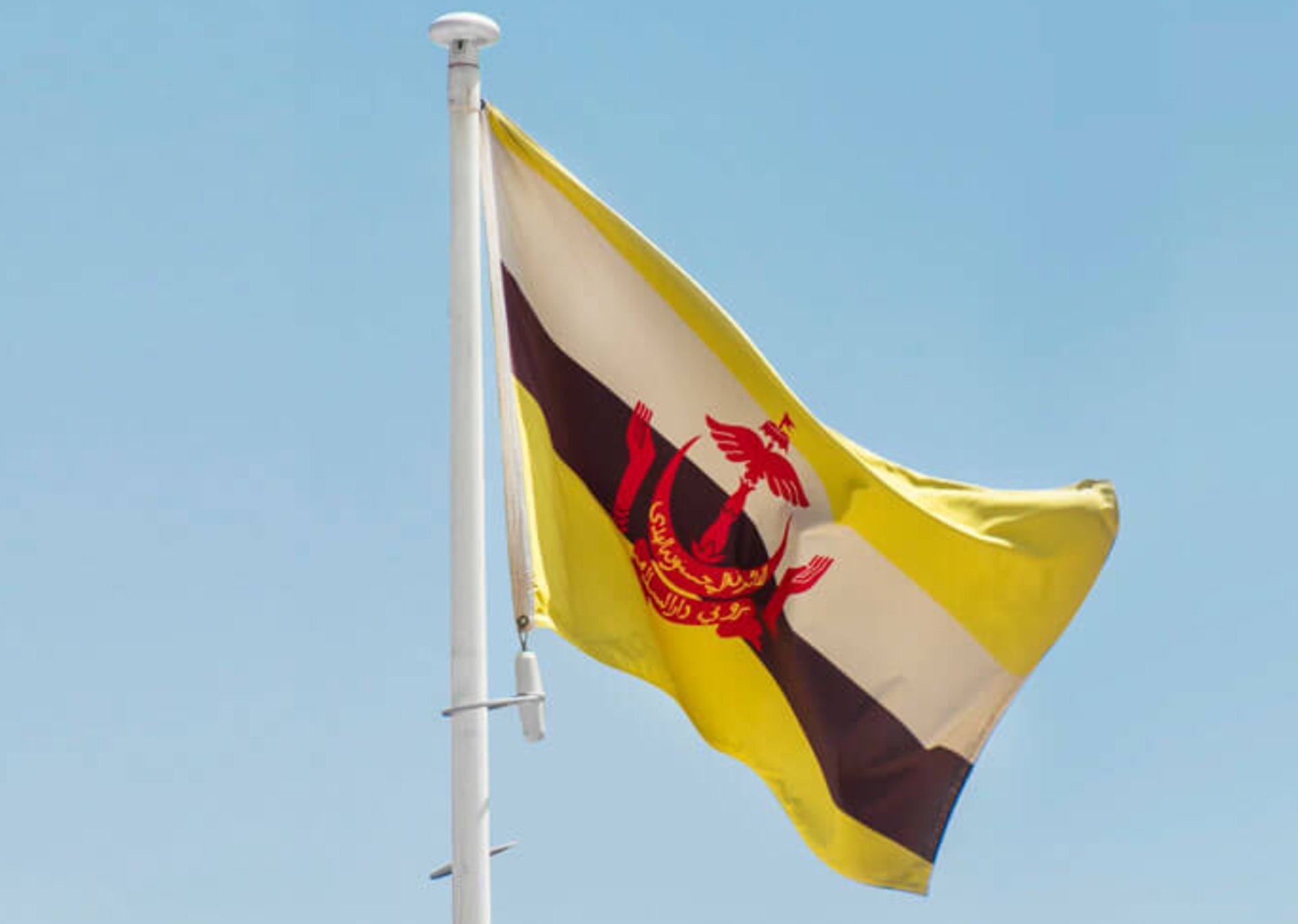 a flag on a pole