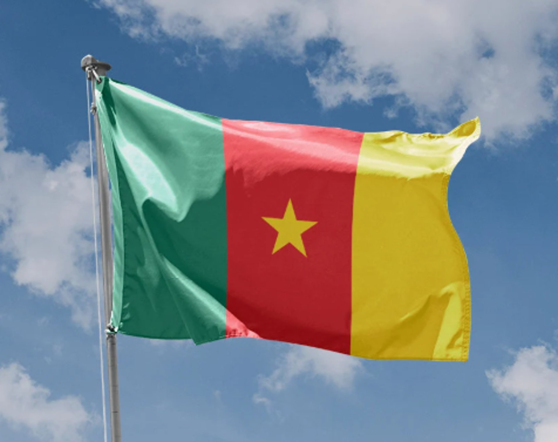 cameroon flag_timenowonline.com