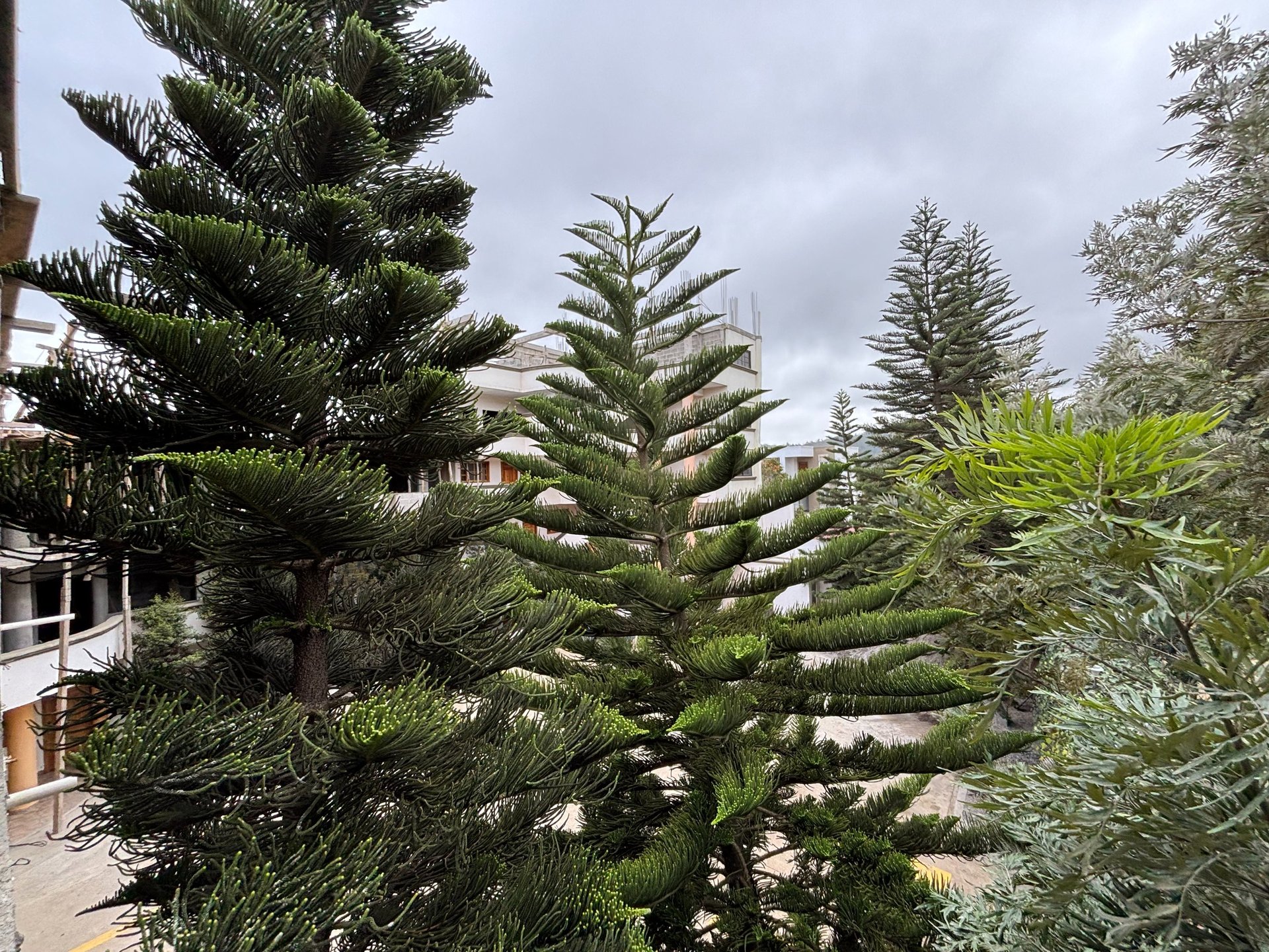 black and white bed linen