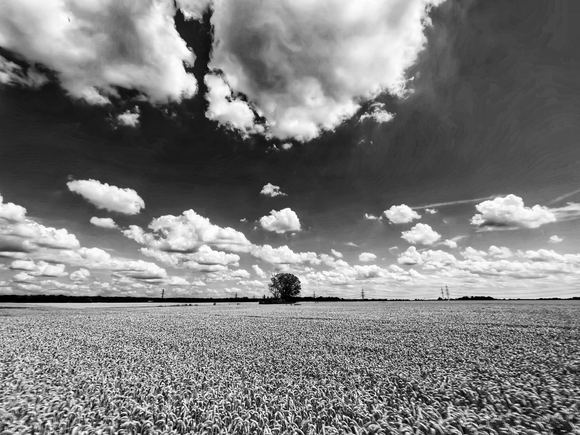 black and white bed linen