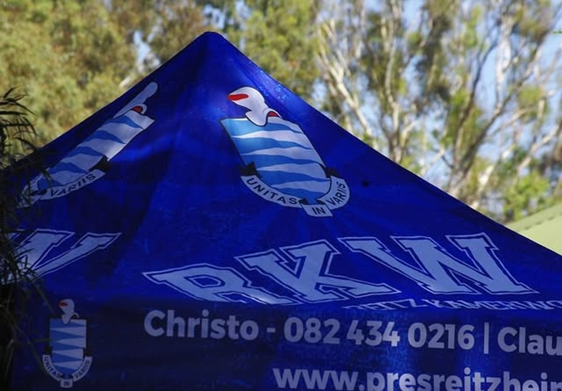 black blue and yellow textile