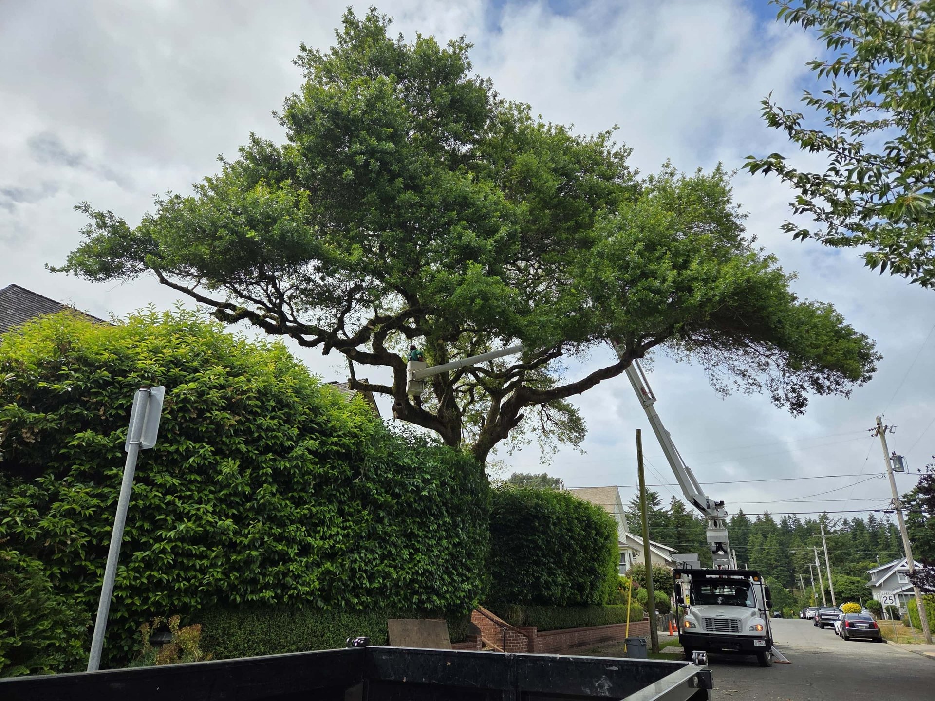 black and white bed linen